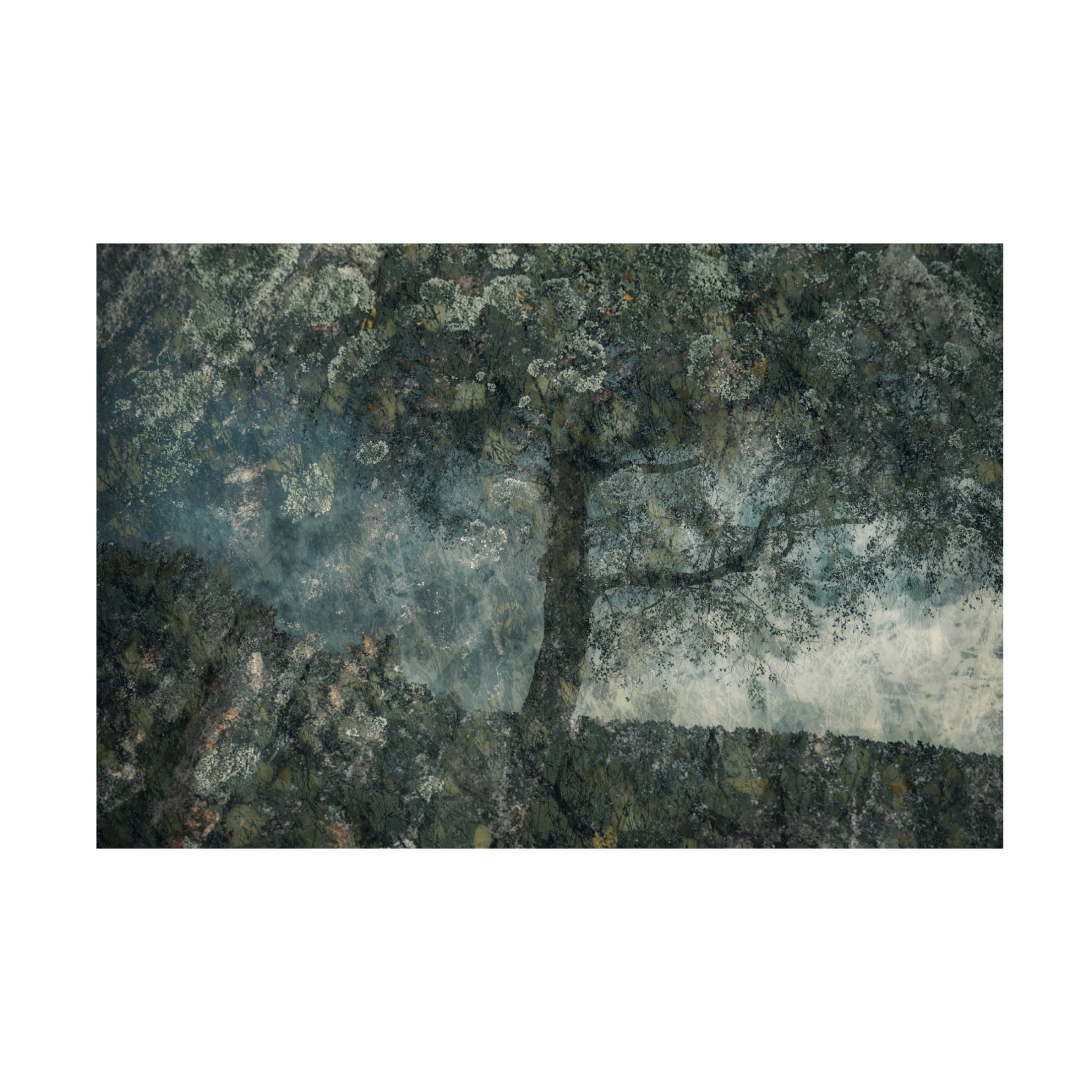Canvas Wall Art - Delphine Margau 'Rocks And A Tree' Wall Art for Living Room, Bedroom, or Office Décor by Trademark Fine Art - 24 x 16 Inches