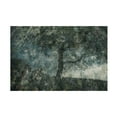thumbnail image 1 of Canvas Wall Art - Delphine Margau 'Rocks And A Tree' Wall Art for Living Room, Bedroom, or Office Décor by Trademark Fine Art - 32 x 22 Inches, 1 of 4