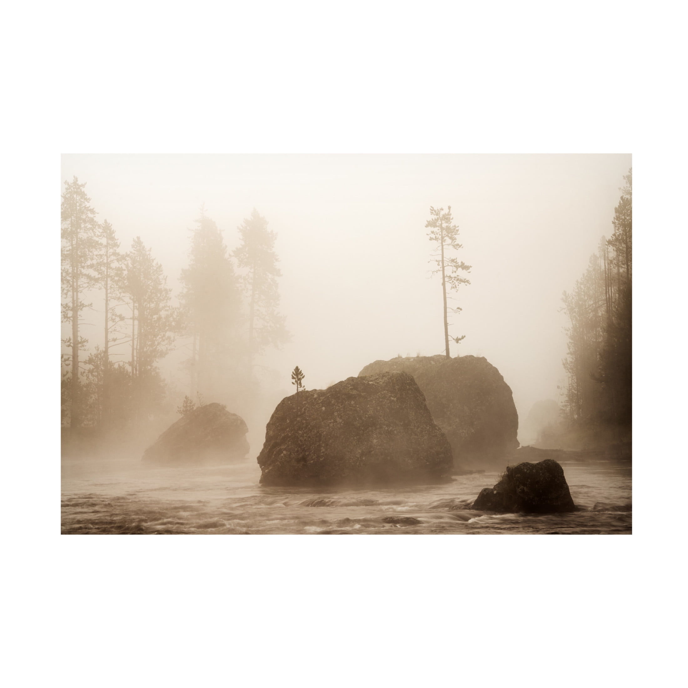 Canvas Wall Art - Dennis Frates 'Early Sunrise With Lone Tree Growing Out Of Rock' Wall Art for Living Room, Bedroom, or Office Décor by Trademark Fine Art - 24 x 16 Inches