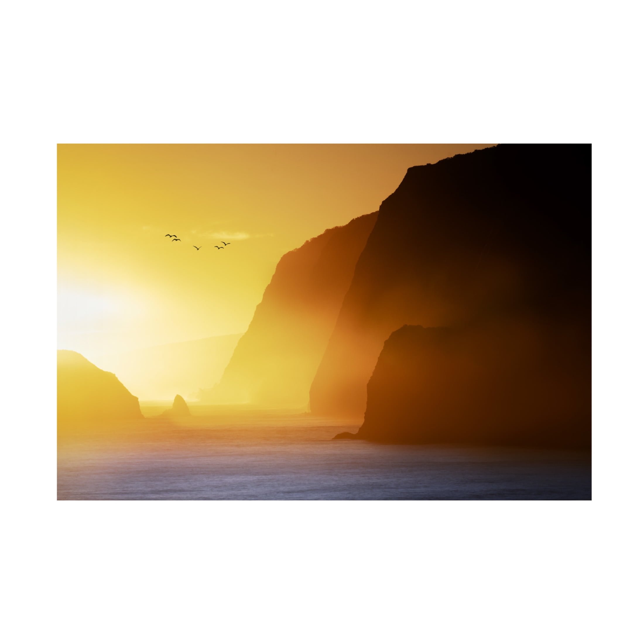 Canvas Wall Art - Dennis Frates 'Pololu Valley With Sunrise And Birds' Wall Art for Living Room, Bedroom, or Office Décor by Trademark Fine Art - 47 x 30 Inches