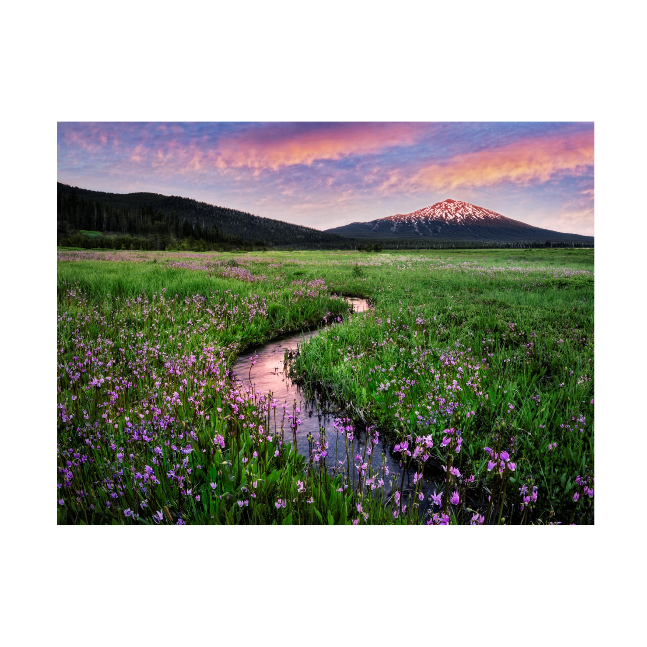 Canvas Wall Art - Dennis Frates 'Sparks Lake Meadow And Mt Bachelor' Wall Art for Living Room, Bedroom, or Office Décor by Trademark Fine Art - 47 x 35 Inches