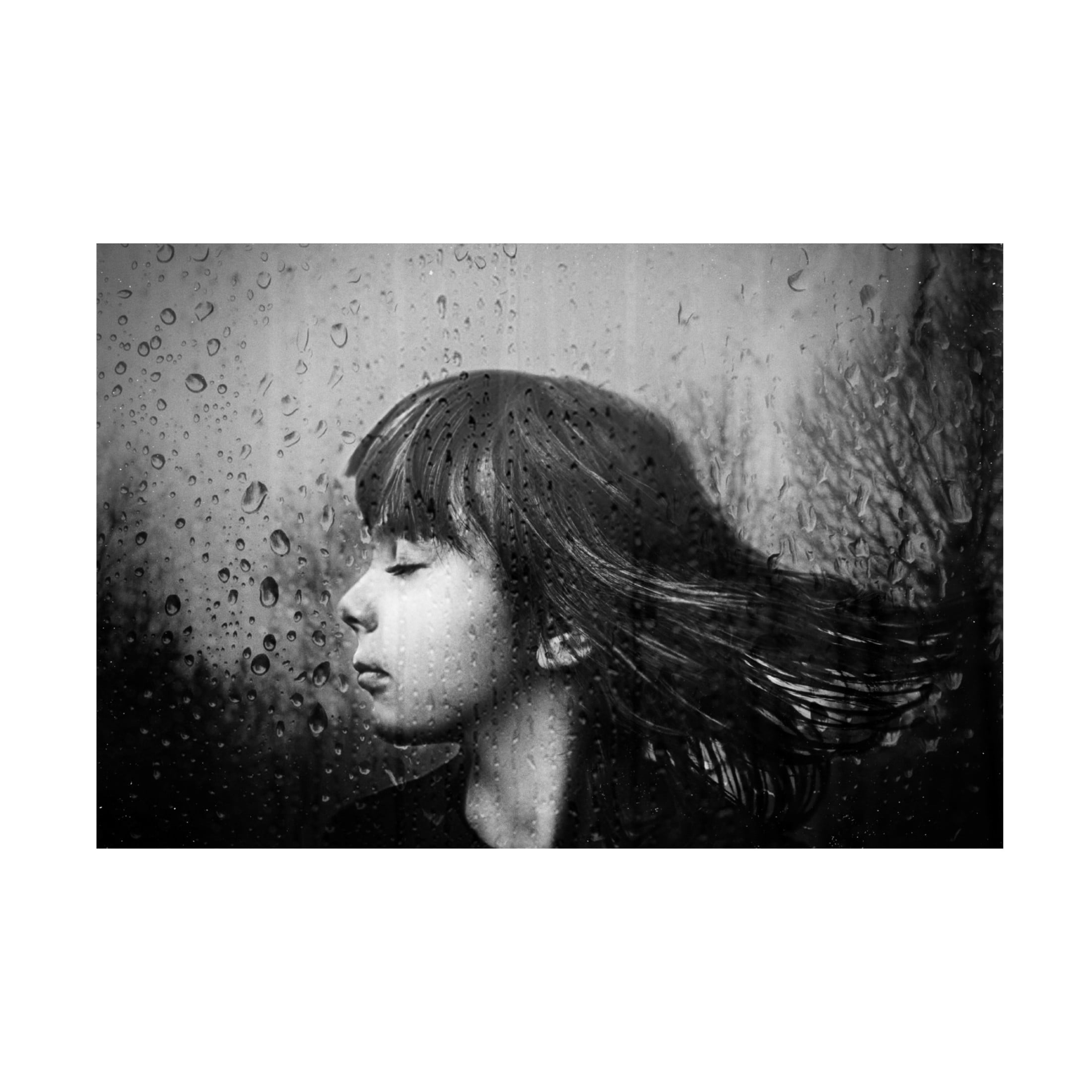 Canvas Wall Art - Desislava Ignatova 'Wind' Wall Art for Living Room, Bedroom, or Office D?cor by Trademark Fine Art - 24 x 16 Inches
