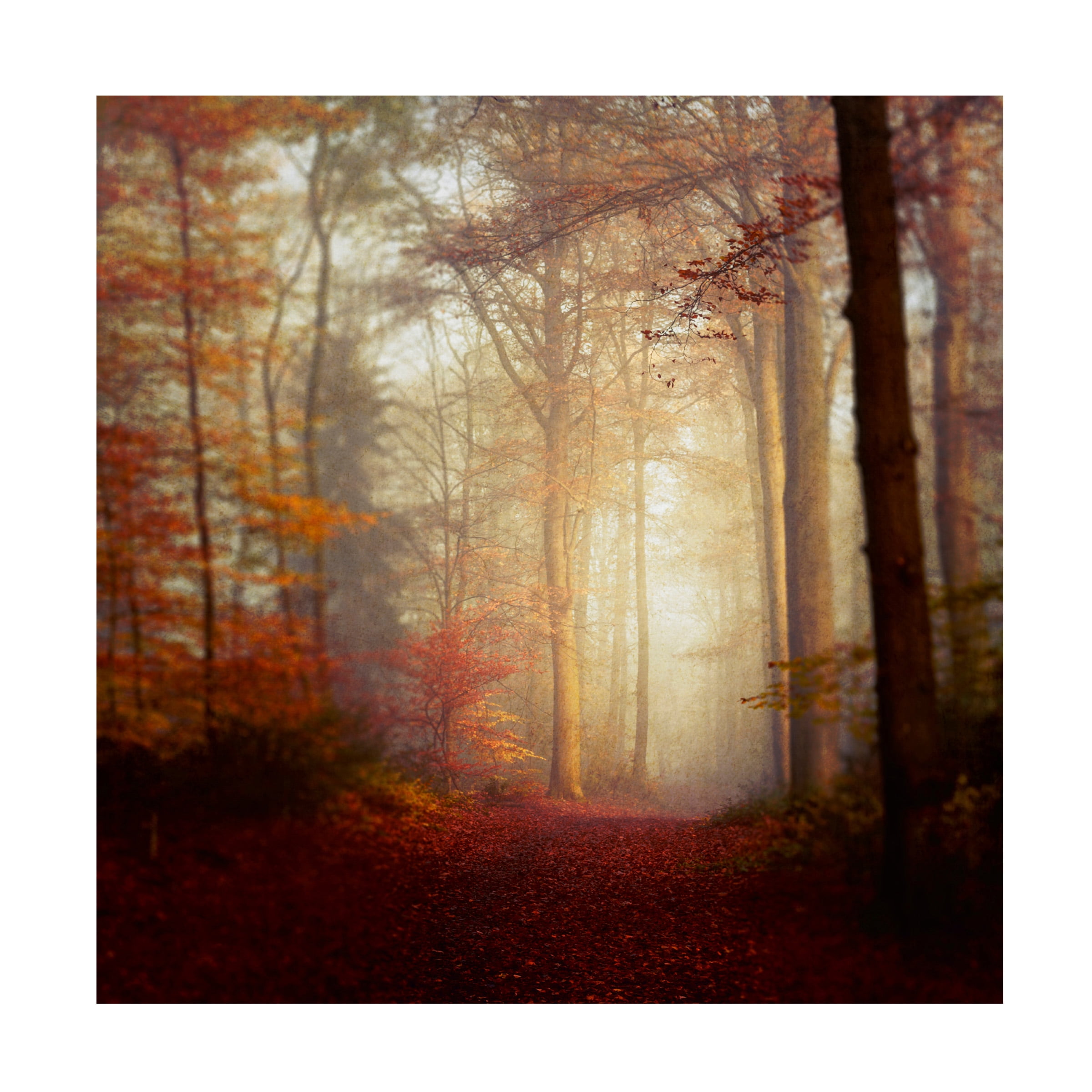 Canvas Wall Art - Dirk Wüstenhagen 'Fall Hike' Wall Art for Living Room, Bedroom, or Office Décor by Trademark Fine Art - 35 x 35 Inches - 35x35