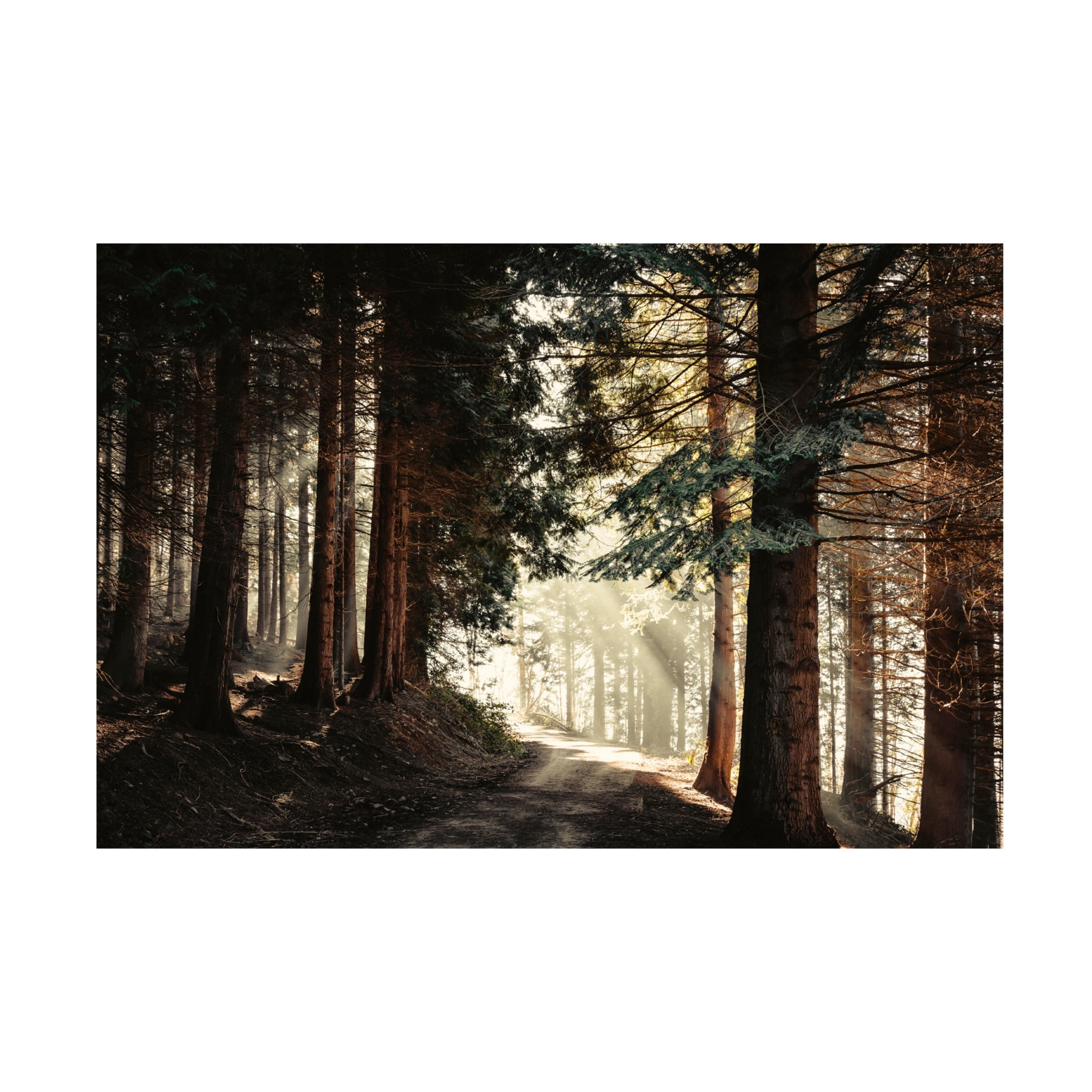 Canvas Wall Art - Dirk Wüstenhagen 'Light Magic' Wall Art for Living Room, Bedroom, or Office Décor by Trademark Fine Art - 32 x 22 Inches