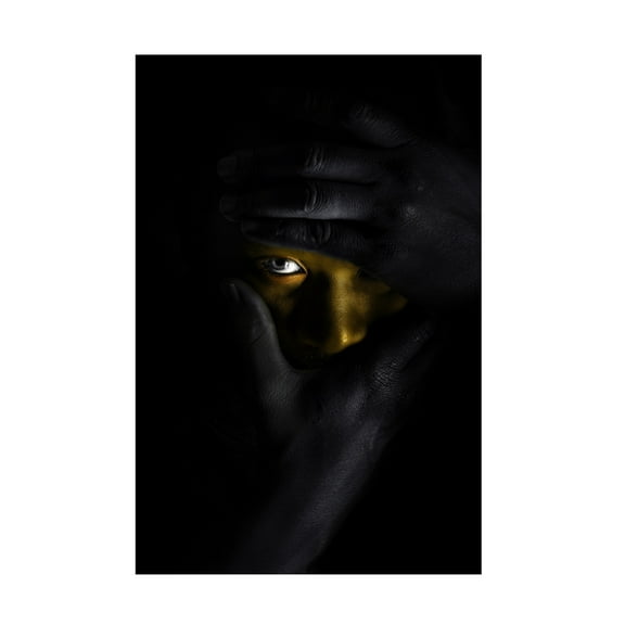 Canvas Wall Art - Domenico Petrocca 'The Silence' Wall Art for Living Room, Bedroom, or Office Décor by Trademark Fine Art - 12 x 19 Inches