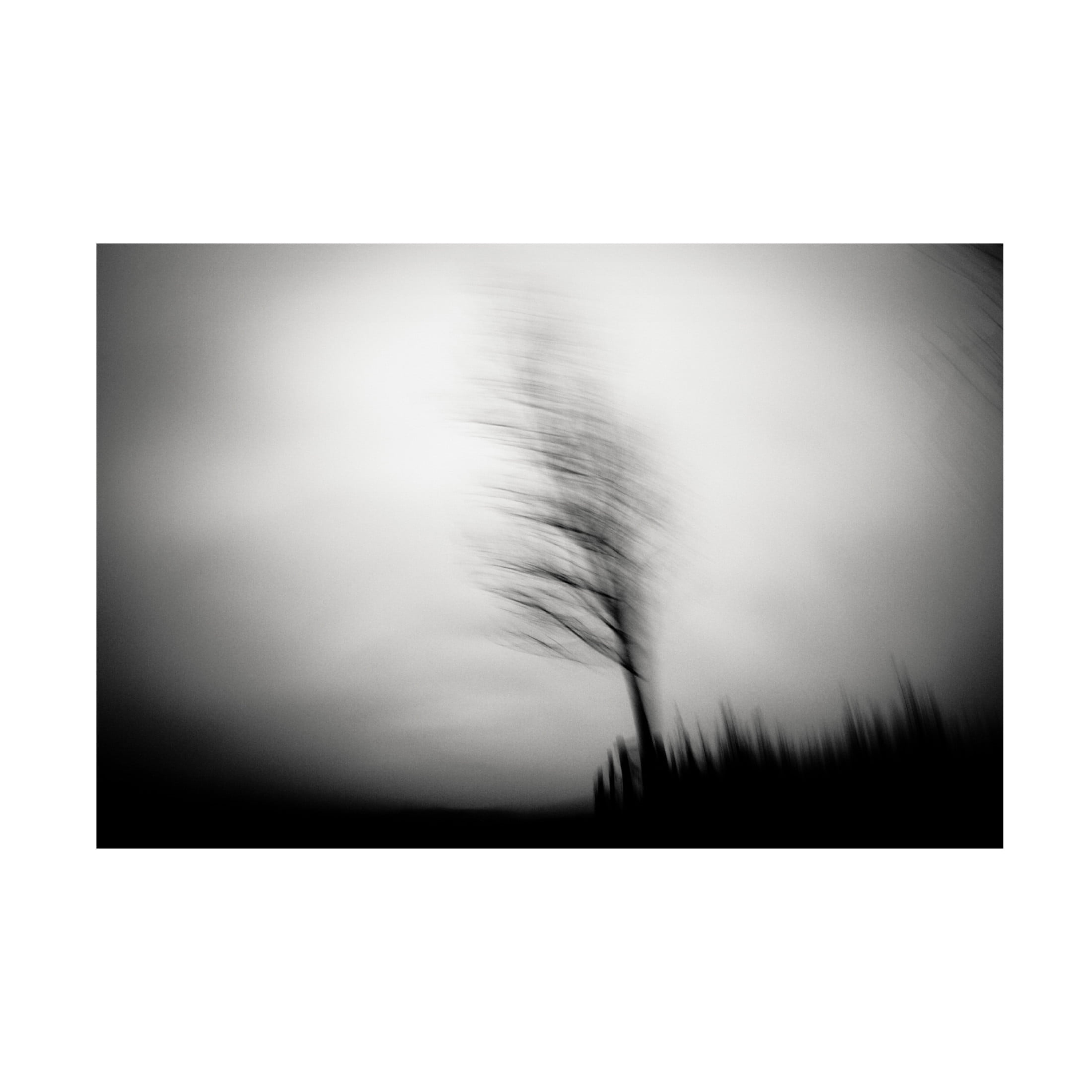 Canvas Wall Art - Dorit Fuhg 'Shadow Dancer' Wall Art for Living Room, Bedroom, or Office D?cor by Trademark Fine Art - 47 x 30 Inches
