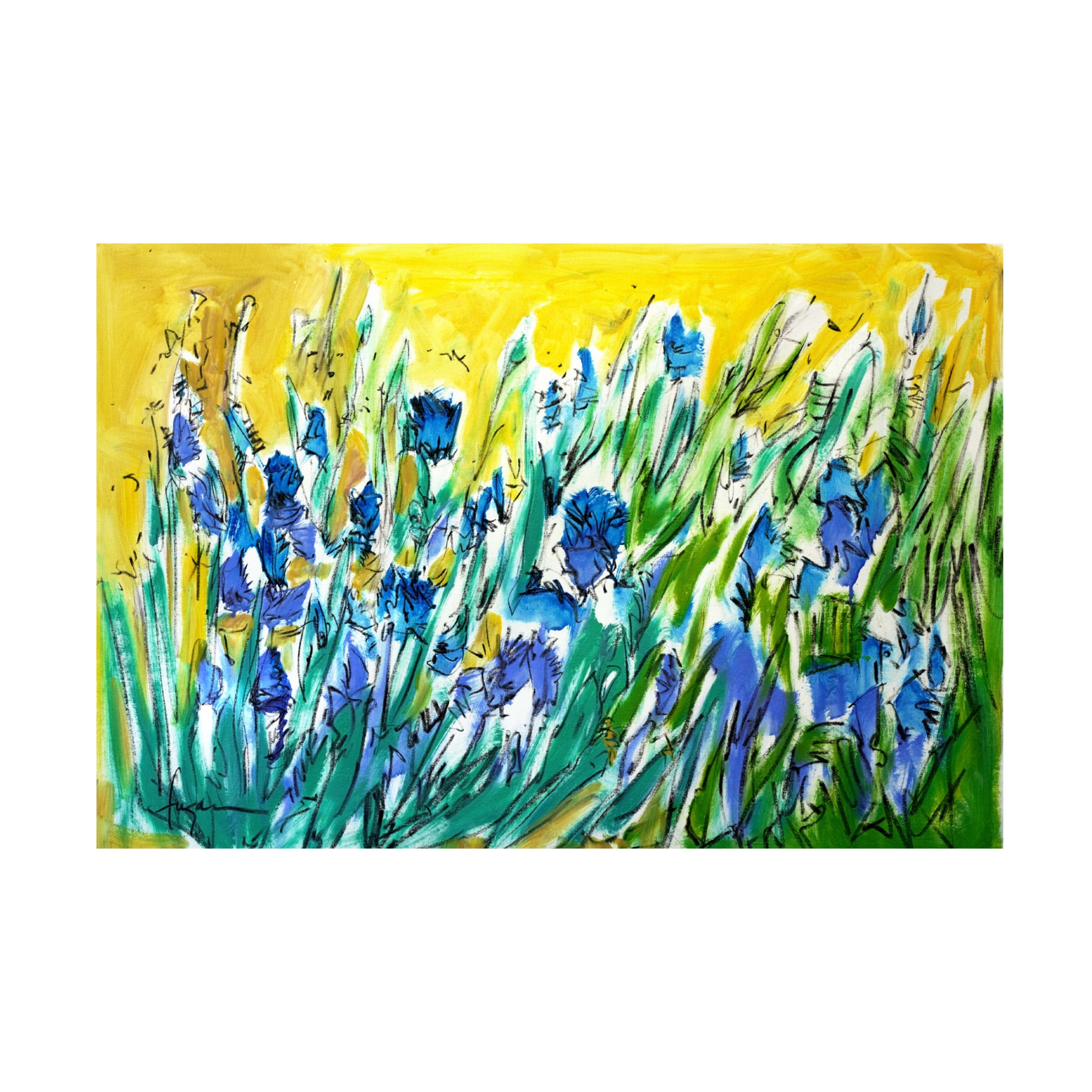 Canvas Wall Art - Dorothy Fagan ' Joinmeinthemeadow' Wall Art for Living Room, Bedroom, or Office Décor by Trademark Fine Art - 47 x 30 Inches