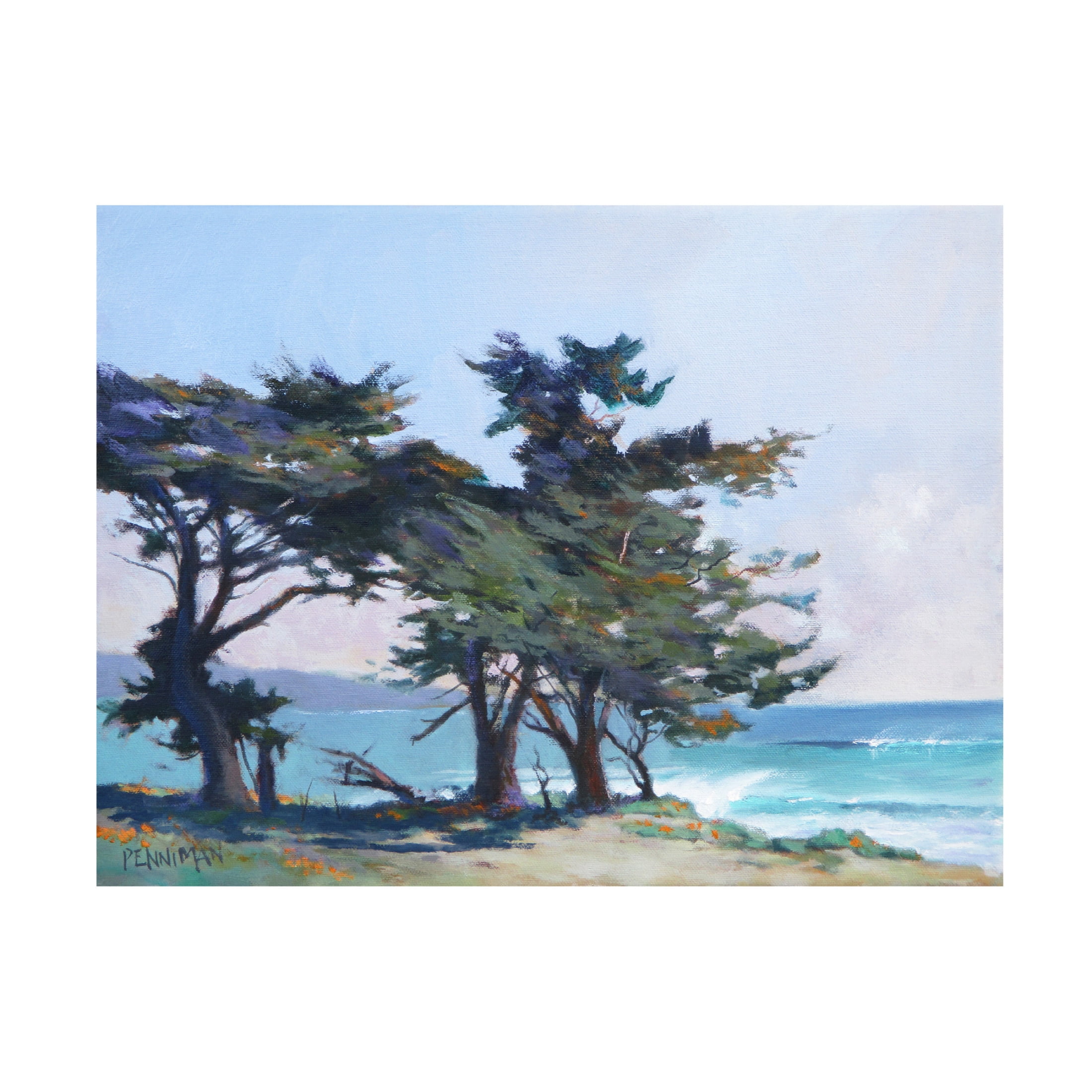 Canvas Wall Art - Ed Penniman 'Lighthouse Field II' Wall Art for Living Room, Bedroom, or Office Décor by Trademark Fine Art - 19 x 14 Inches