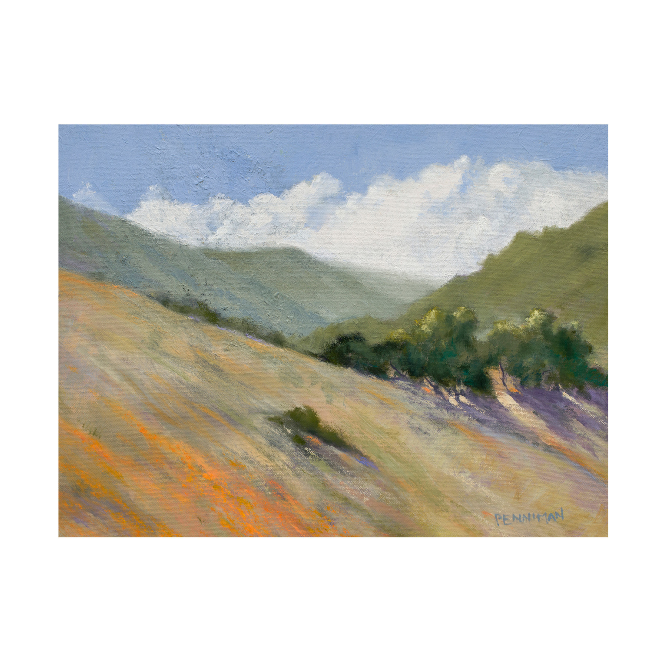 Canvas Wall Art - Ed Penniman 'Old Toll Road, Calistoga' Wall Art for Living Room, Bedroom, or Office Décor by Trademark Fine Art - 24 x 18 Inches