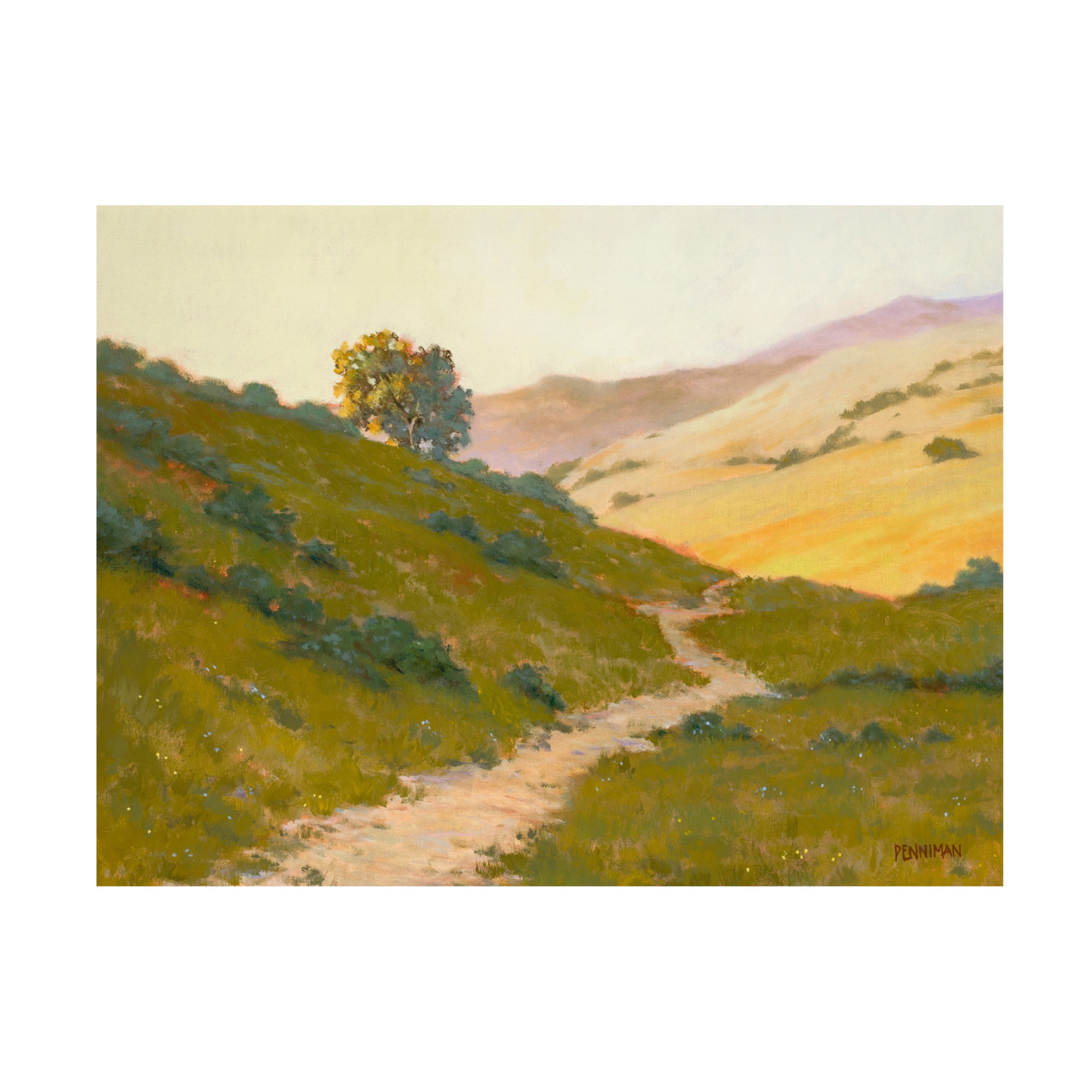 Canvas Wall Art - Ed Penniman 'Opalescent Hills' Wall Art for Living Room, Bedroom, or Office Décor by Trademark Fine Art - 19 x 14 Inches