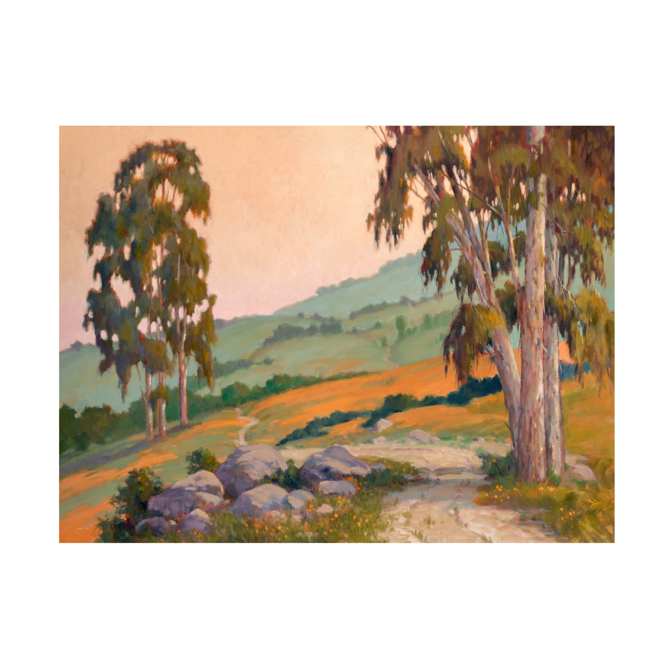 Canvas Wall Art - Ed Penniman 'Poppy Hill Path' Wall Art for Living Room, Bedroom, or Office Décor by Trademark Fine Art - 19 x 14 Inches