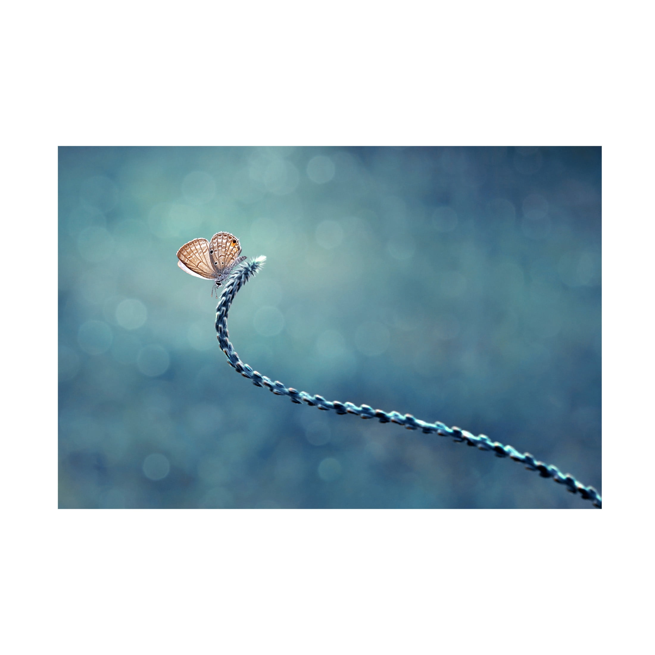 Canvas Wall Art - Edy Pamungkas 'Sendiri Lagi' Wall Art for Living Room, Bedroom, or Office D?cor by Trademark Fine Art - 32 x 22 Inches