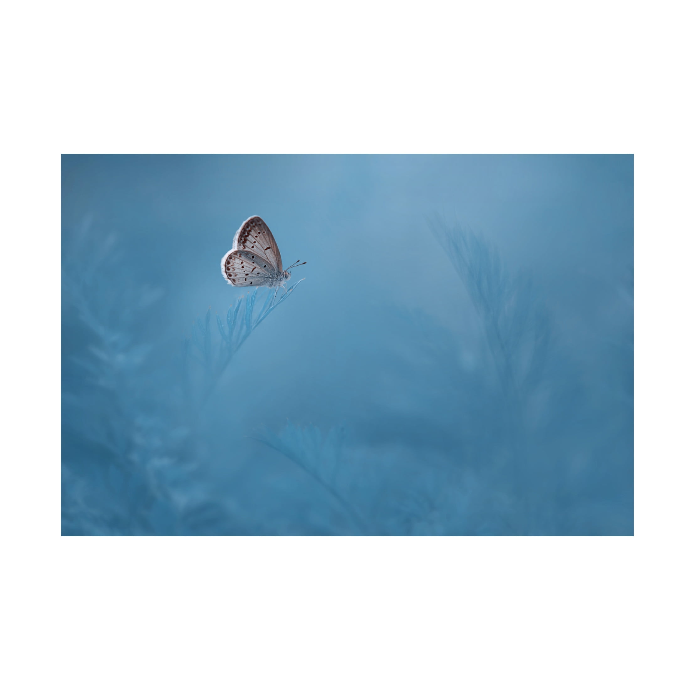 Canvas Wall Art - Edy Pamungkas 'Waiting' Wall Art for Living Room, Bedroom, or Office Décor by Trademark Fine Art - 19 x 12 Inches