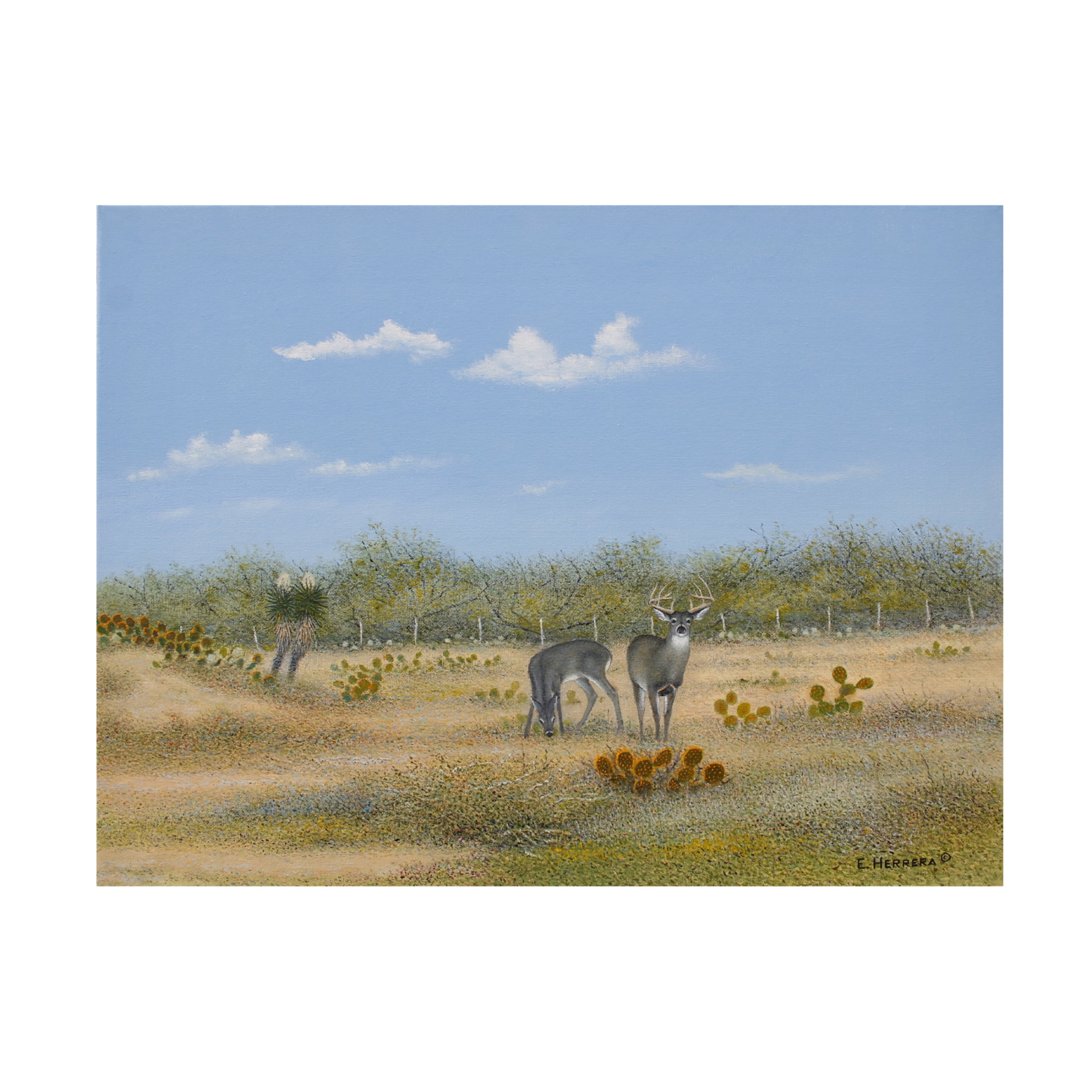Canvas Wall Art - Eleazar Herrera 'The Property Line' Wall Art for Living Room, Bedroom, or Office Décor by Trademark Fine Art - 47 x 35 Inches