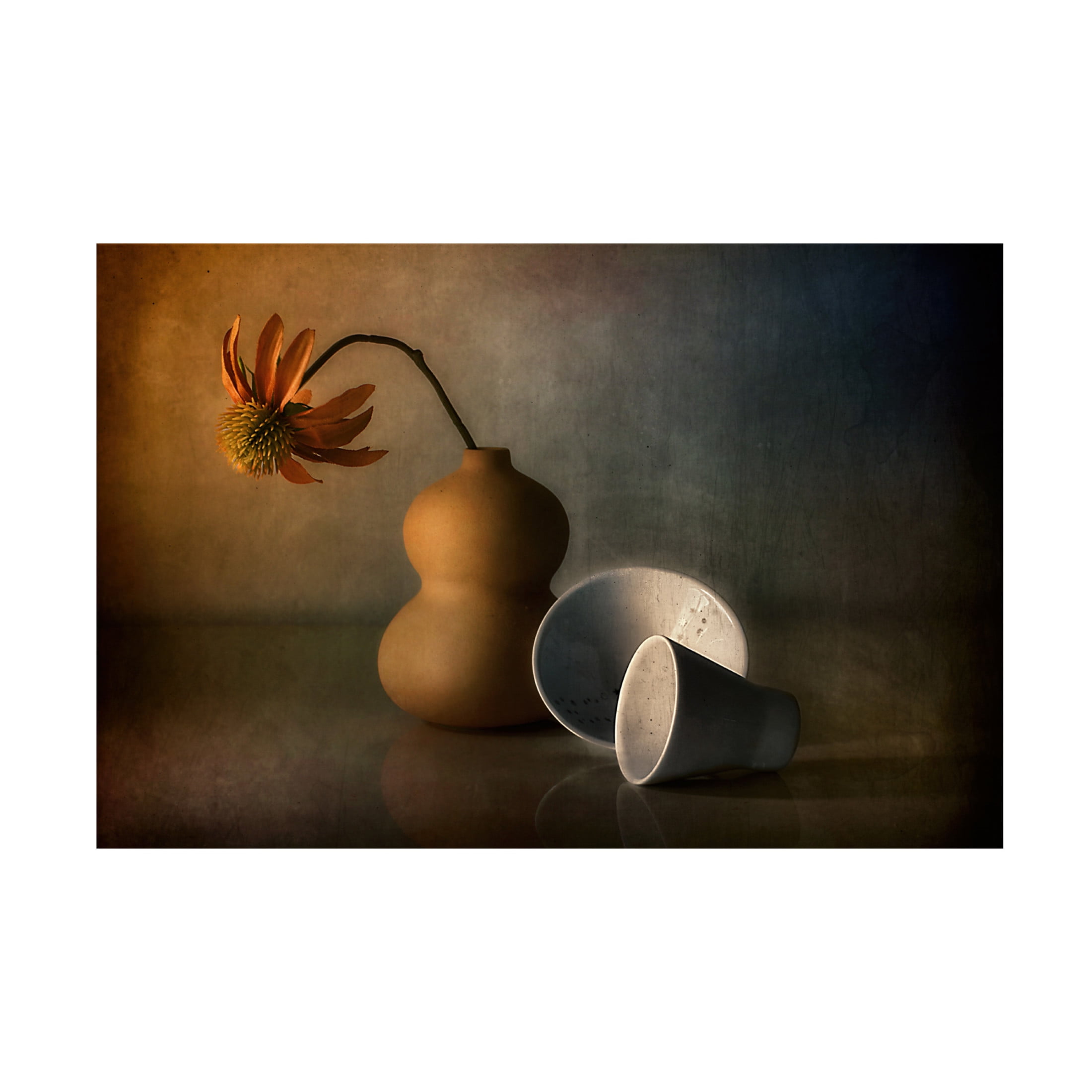 Canvas Wall Art - Elena Arjona 'Untitled' Wall Art for Living Room, Bedroom, or Office Décor by Trademark Fine Art - 24 x 16 Inches