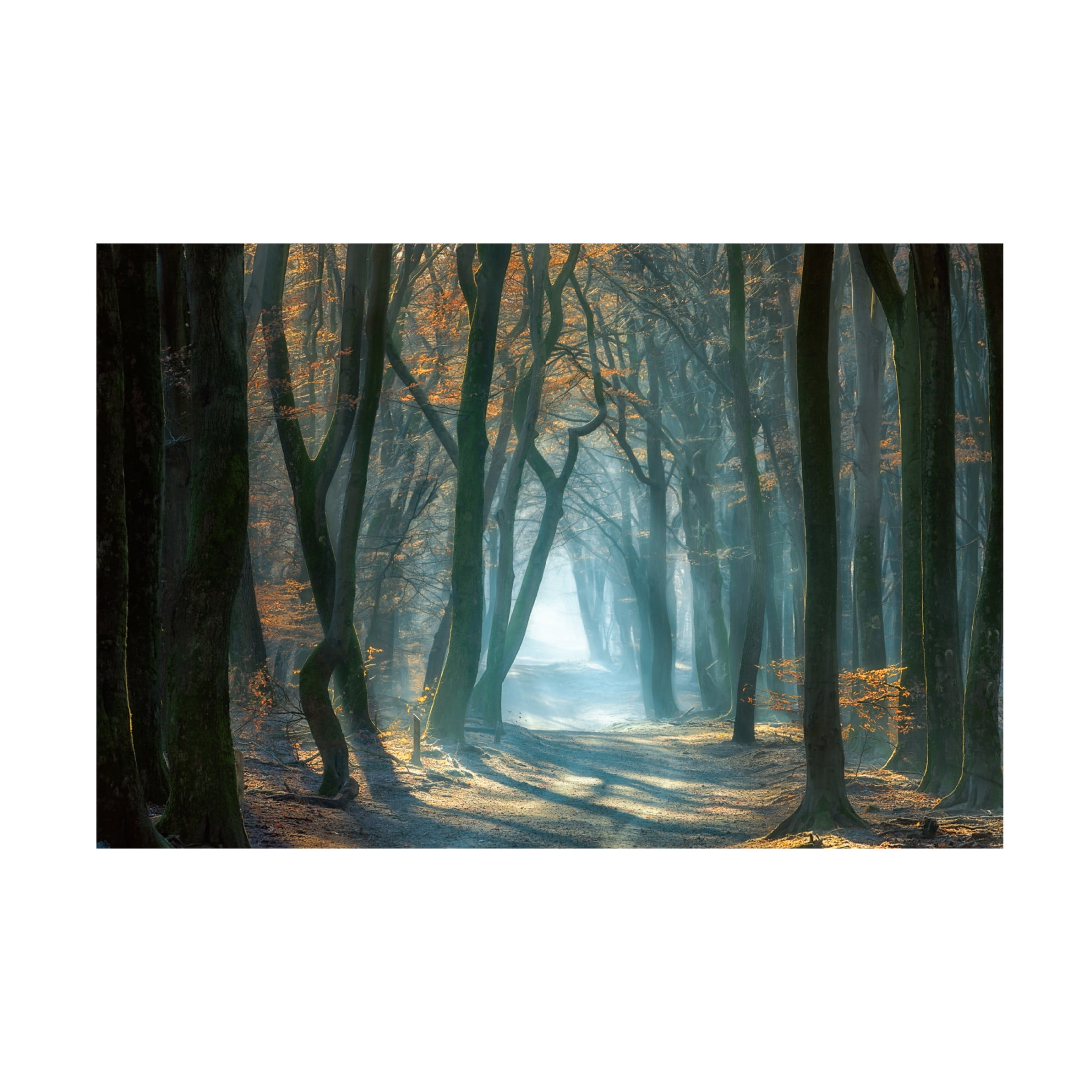 Canvas Wall Art - Ellen Borggreve 'Cold Light' Wall Art for Living Room, Bedroom, or Office D?cor by Trademark Fine Art - 32 x 22 Inches