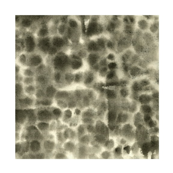 Canvas Wall Art - Emma Caroline 'Leopard Fade I' Wall Art for Living Room, Bedroom, or Office Décor by Trademark Fine Art - 14 x 14 Inches