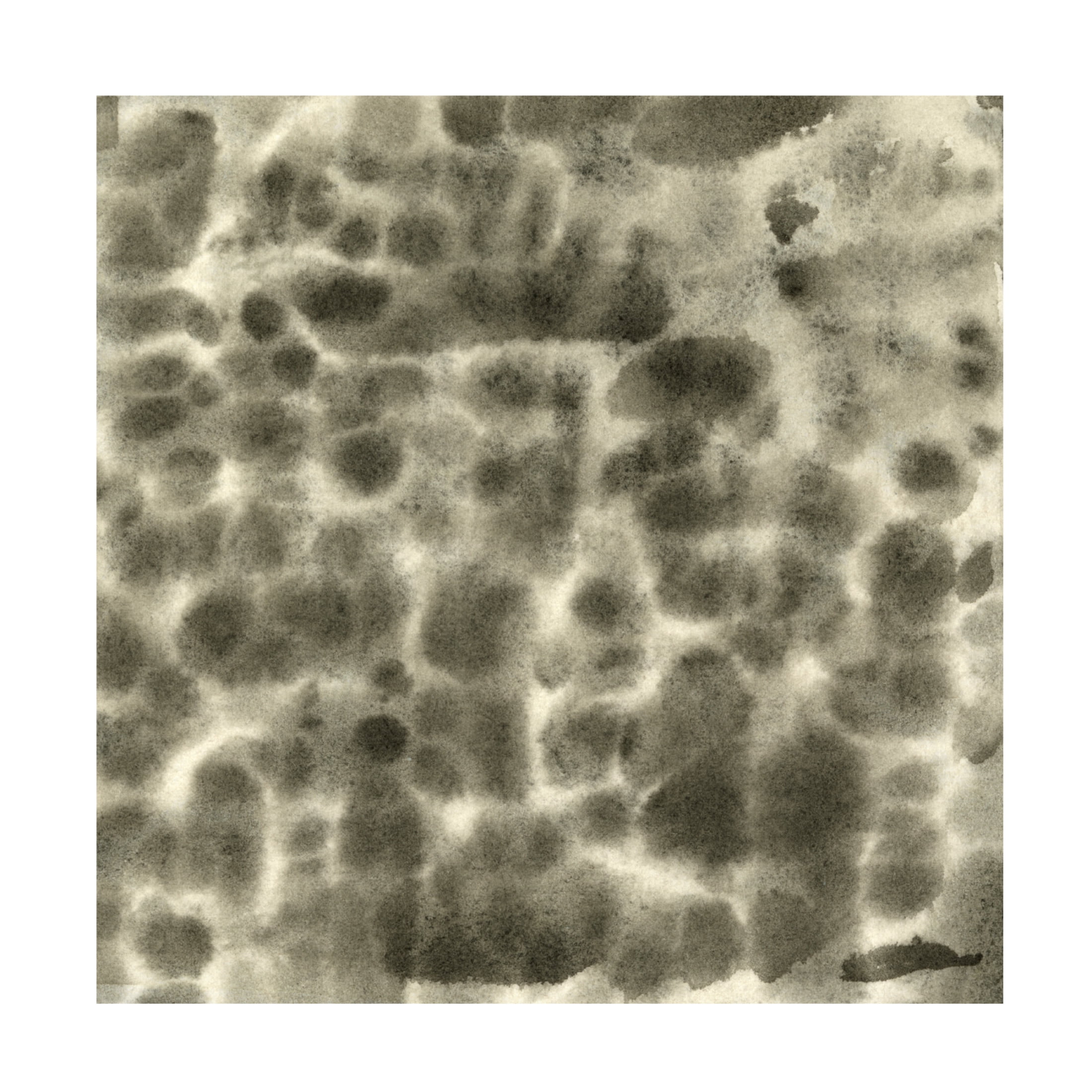 Canvas Wall Art - Emma Caroline 'Leopard Fade II' Wall Art for Living Room, Bedroom, or Office Décor by Trademark Fine Art - 14 x 14 Inches
