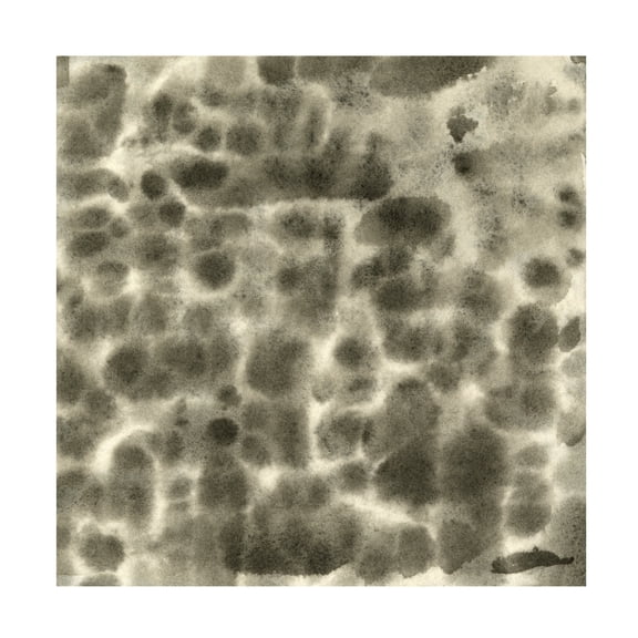 Canvas Wall Art - Emma Caroline 'Leopard Fade II' Wall Art for Living Room, Bedroom, or Office Décor by Trademark Fine Art - 24 x 24 Inches