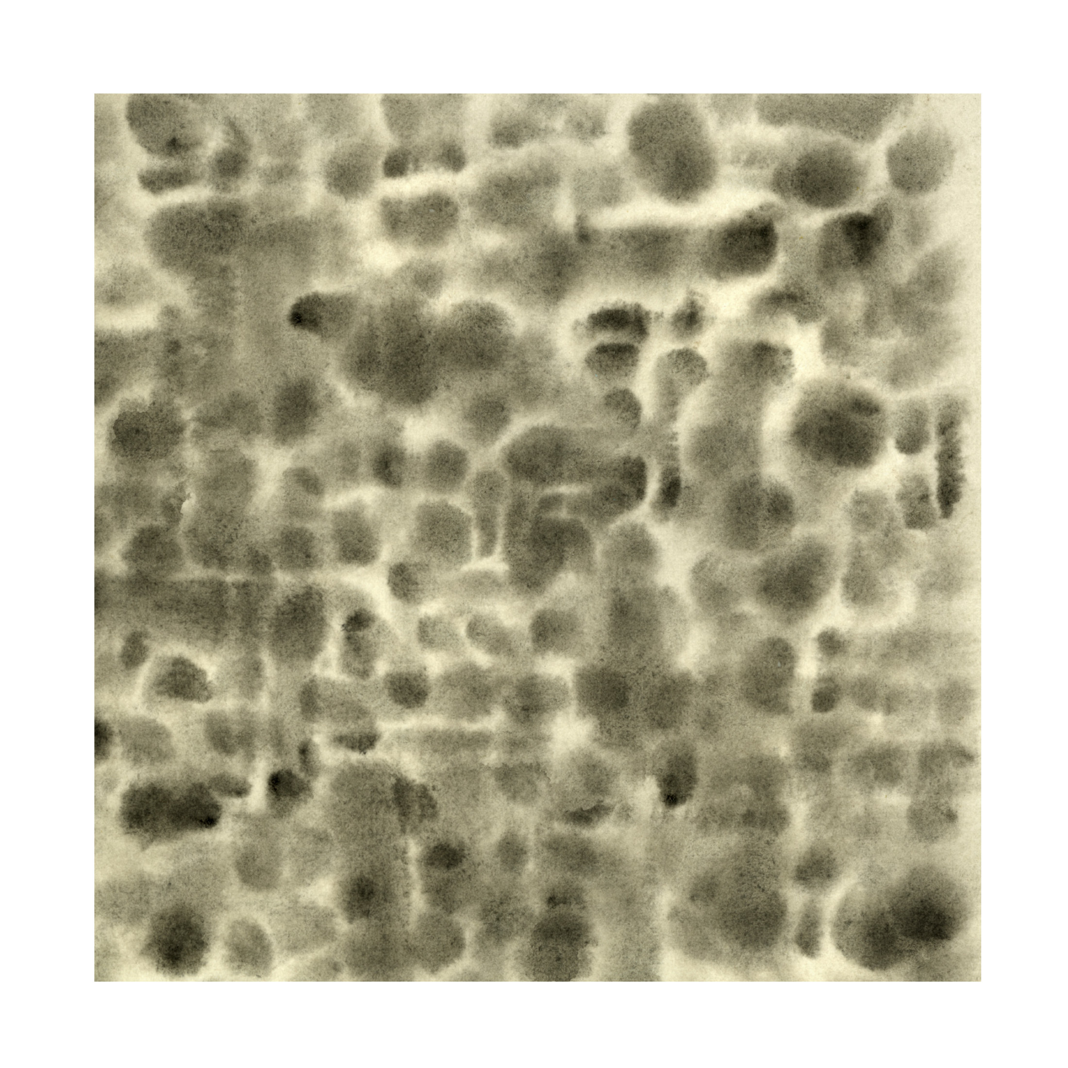 Canvas Wall Art - Emma Caroline 'Leopard Fade IV' Wall Art for Living Room, Bedroom, or Office Décor by Trademark Fine Art - 14 x 14 Inches