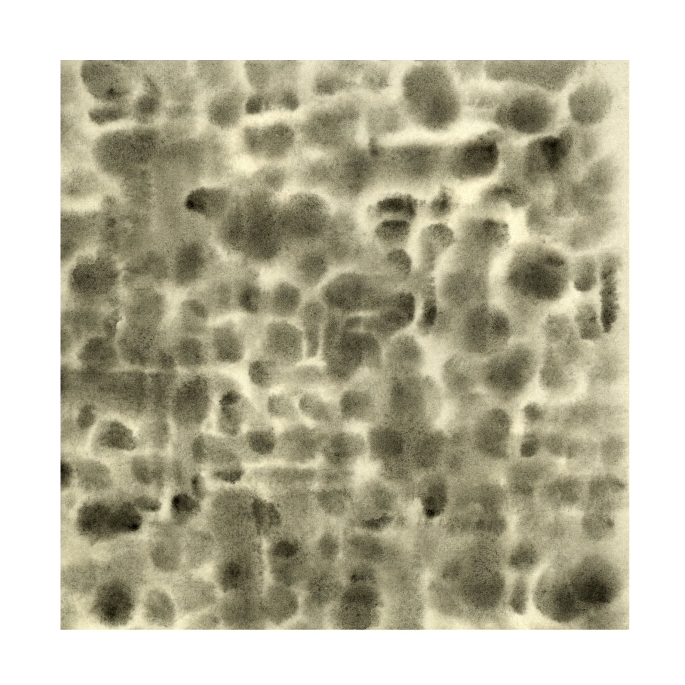 Canvas Wall Art - Emma Caroline 'Leopard Fade IV' Wall Art for Living Room, Bedroom, or Office Décor by Trademark Fine Art - 35 x 35 Inches