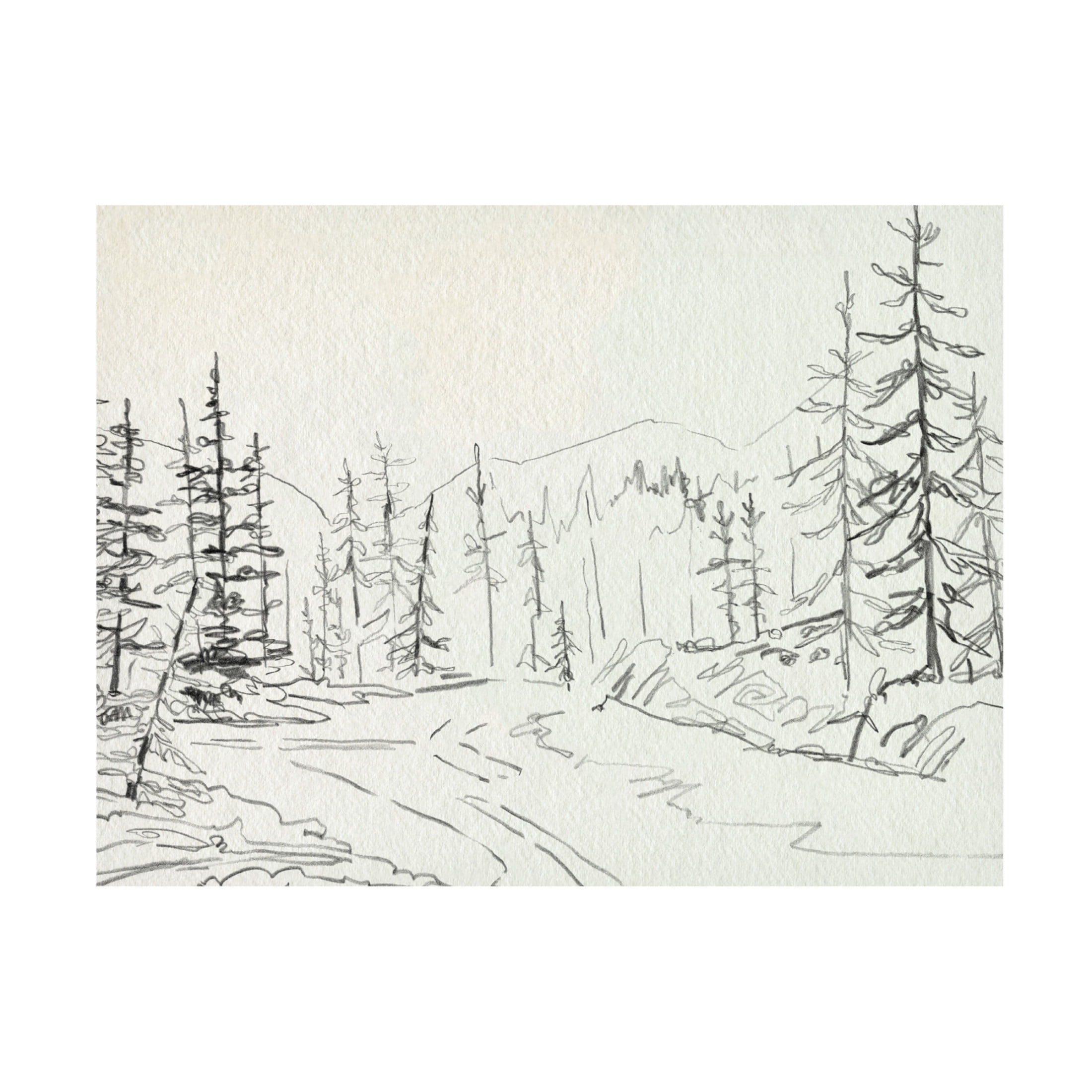 Canvas Wall Art - Emma Caroline 'Piney Forest I' Wall Art for Living Room, Bedroom, or Office Décor by Trademark Fine Art - 19 x 14 Inches