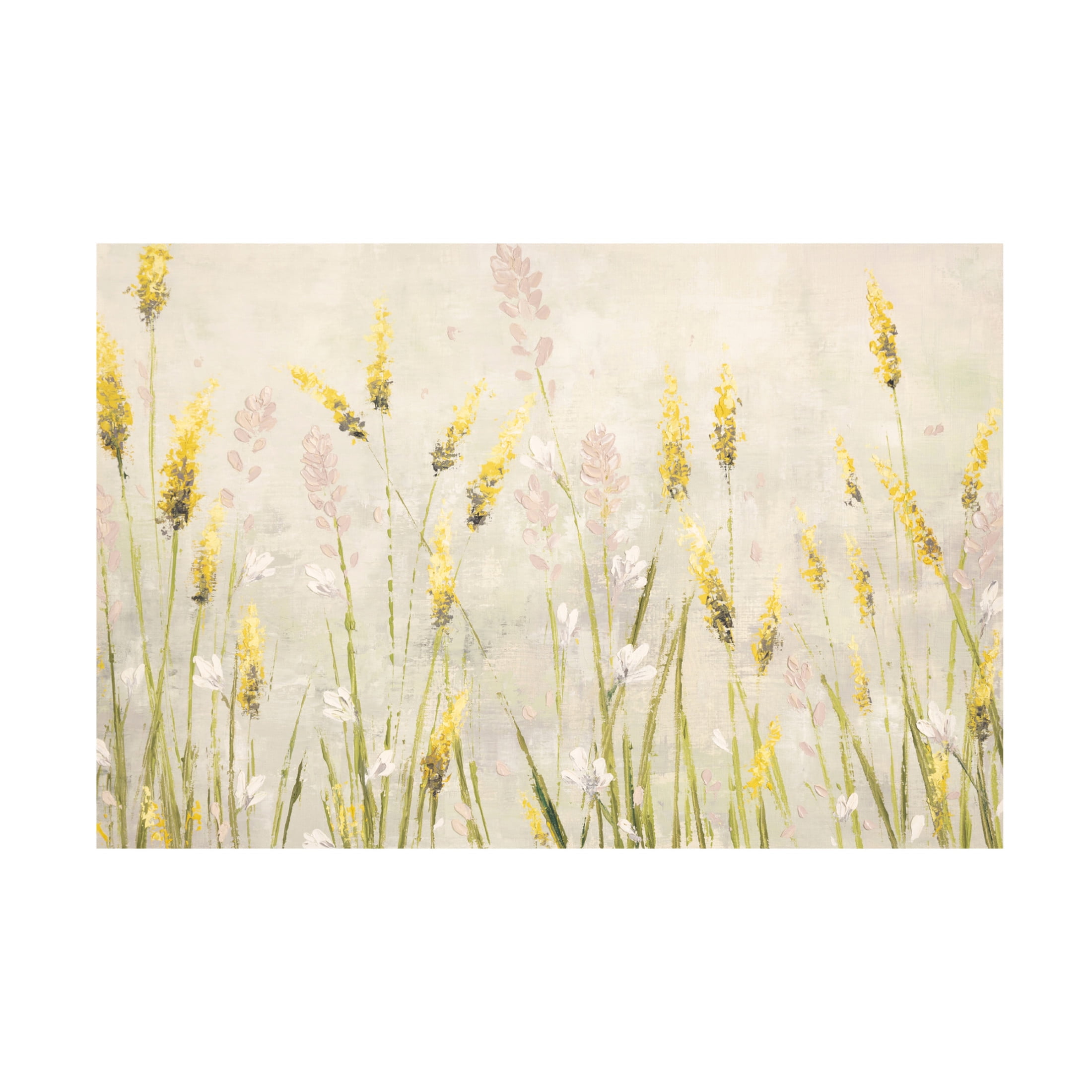 Canvas Wall Art - Emma Coghlan 'Actaea Simplex' Wall Art for Living Room, Bedroom, or Office Décor by Trademark Fine Art - 19 x 12 Inches