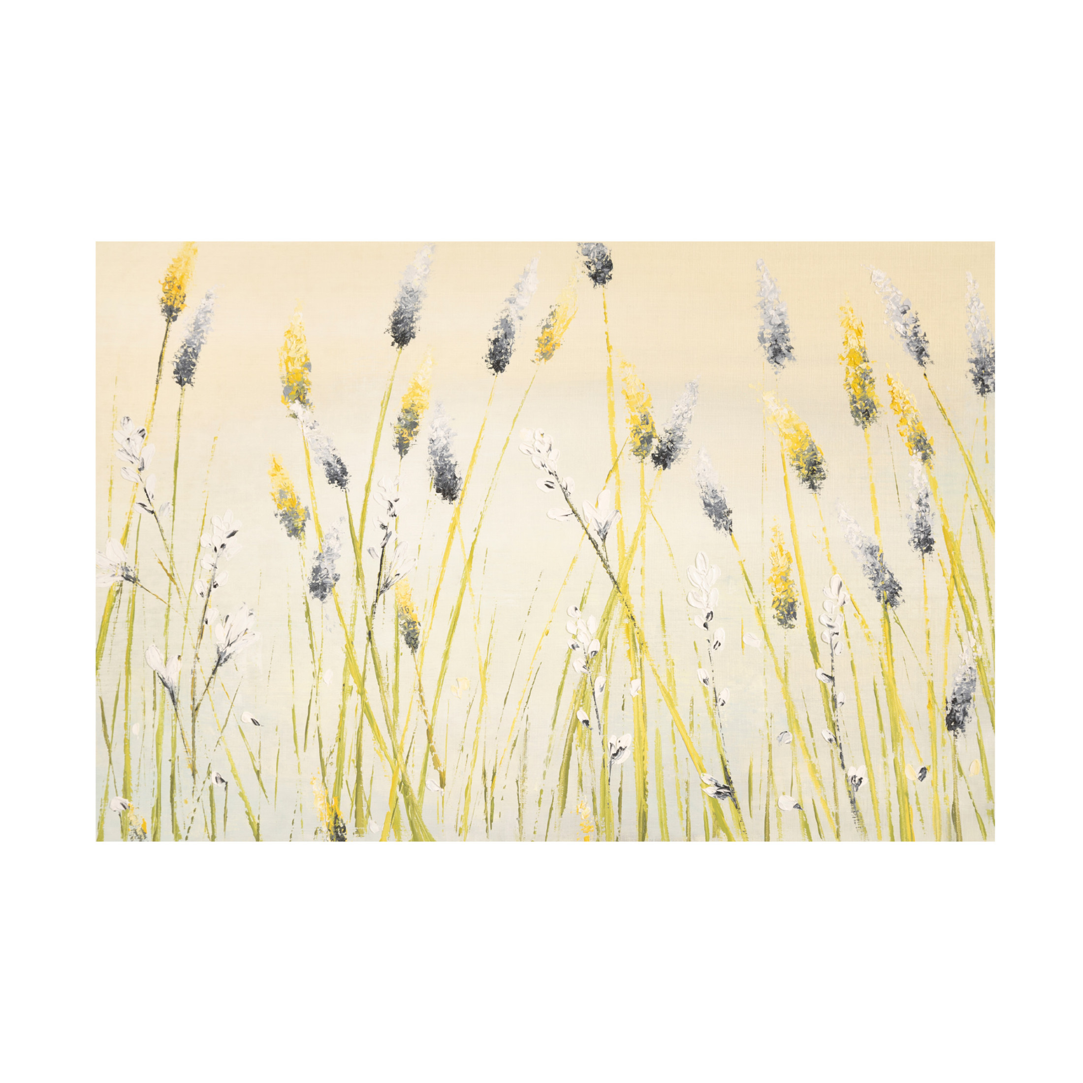 Canvas Wall Art - Emma Coghlan 'Bugbane Field' Wall Art for Living Room, Bedroom, or Office Décor by Trademark Fine Art - 47 x 30 Inches