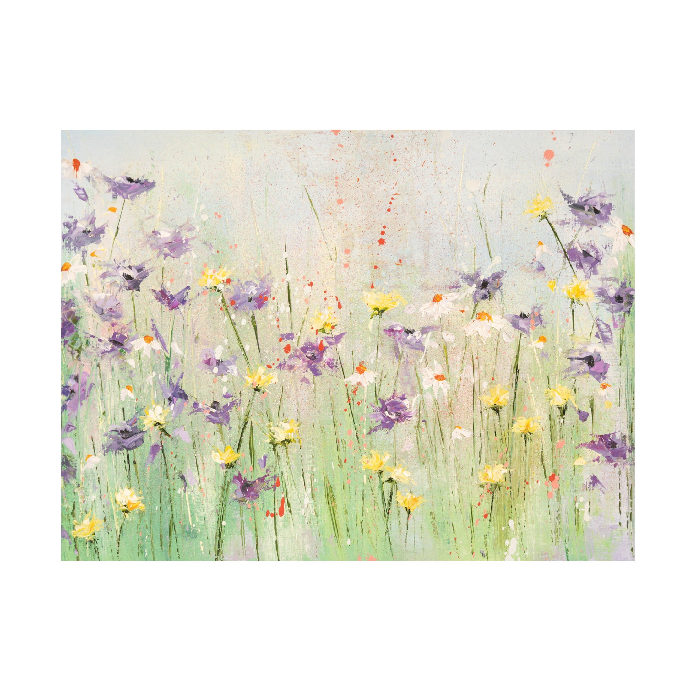 Canvas Wall Art - Emma Coghlan 'Clematis' Wall Art for Living Room, Bedroom, or Office Décor by Trademark Fine Art - 24 x 18 Inches