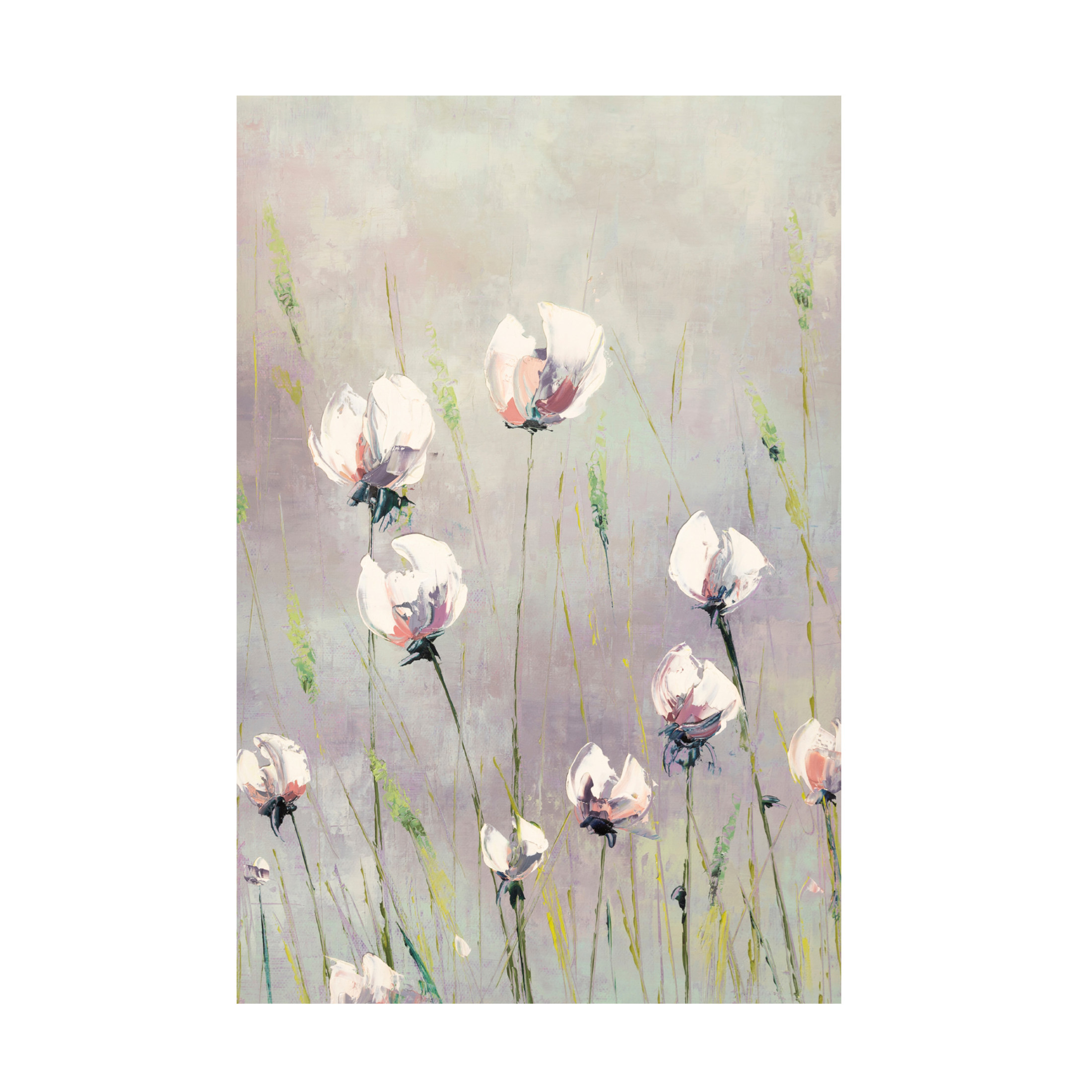 Canvas Wall Art - Emma Coghlan 'White Tulips' Wall Art for Living Room, Bedroom, or Office Décor by Trademark Fine Art - 12 x 19 Inches