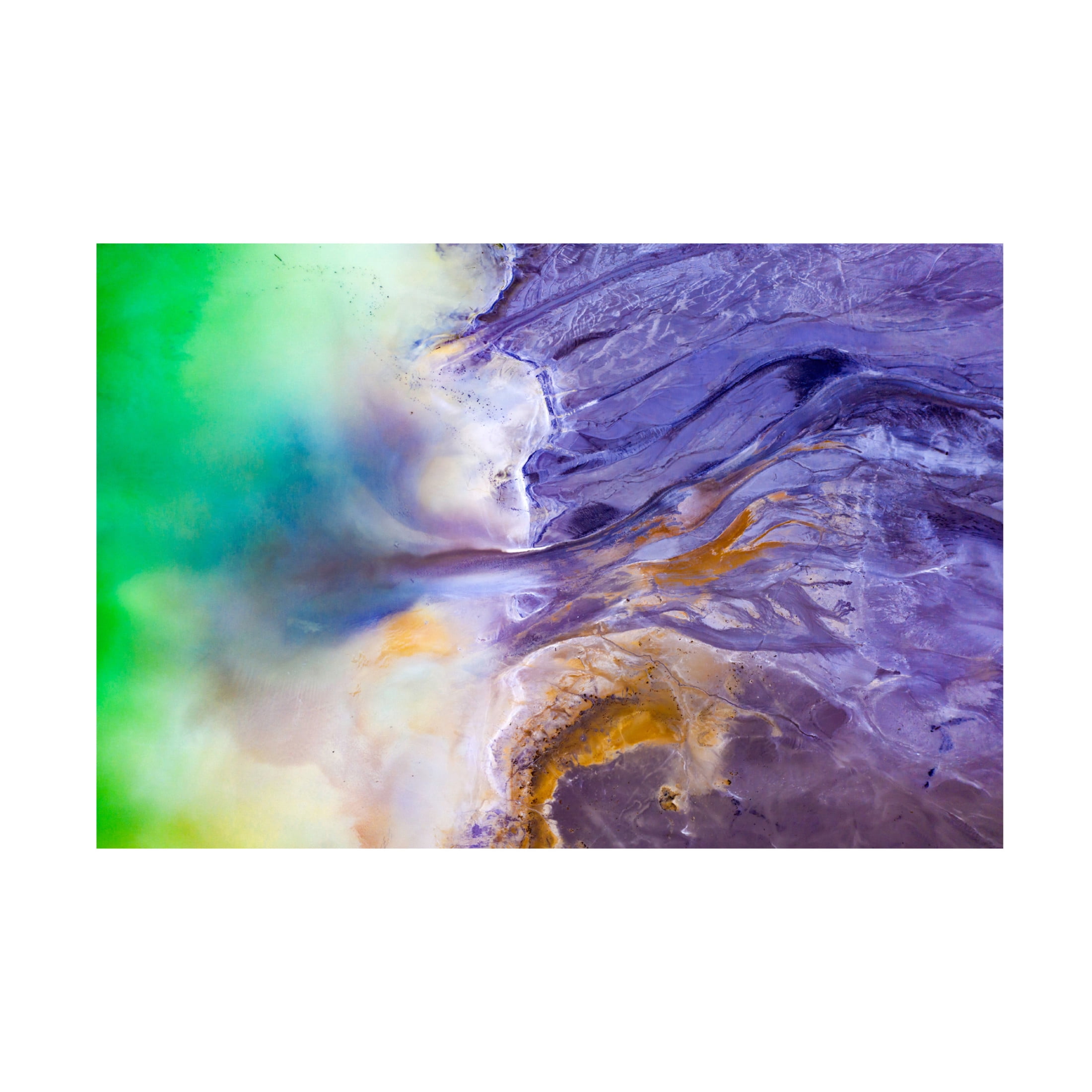 Canvas Wall Art - Eros Erika 'Beautiful Poison' Wall Art for Living Room, Bedroom, or Office D?cor by Trademark Fine Art - 19 x 12 Inches