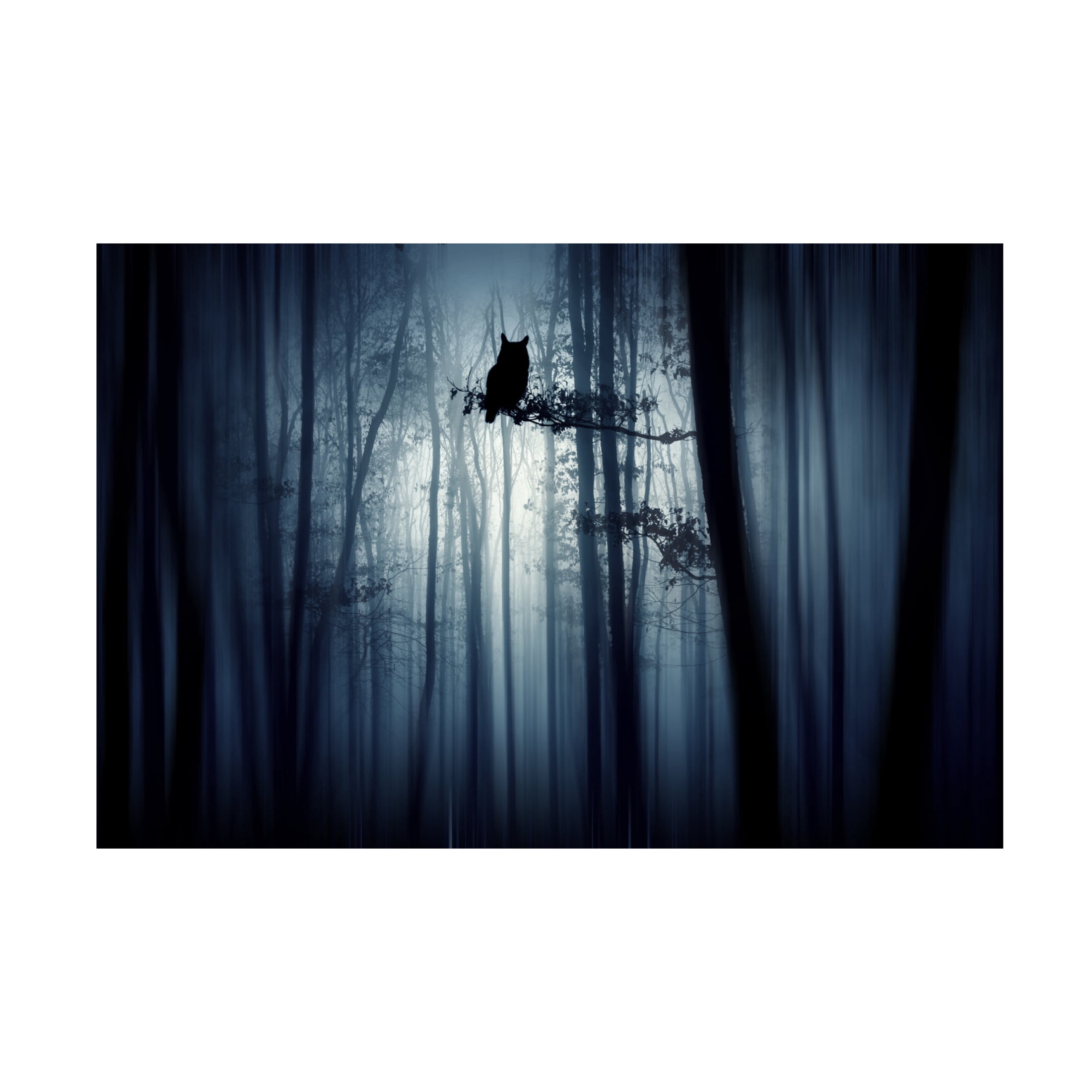Canvas Wall Art - Eros Erika 'In The Forest' Wall Art for Living Room, Bedroom, or Office Décor by Trademark Fine Art - 32 x 22 Inches