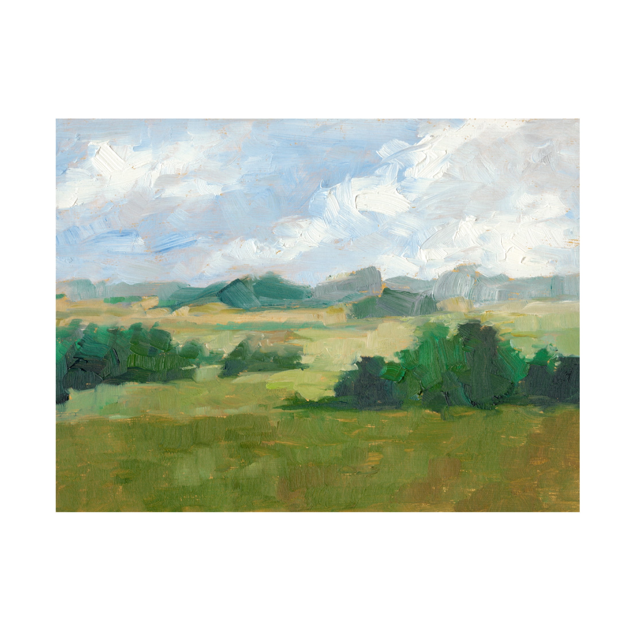 Canvas Wall Art - Ethan Harper 'Afternoon Shade II' Wall Art for Living Room, Bedroom, or Office Décor by Trademark Fine Art - 47 x 35 Inches