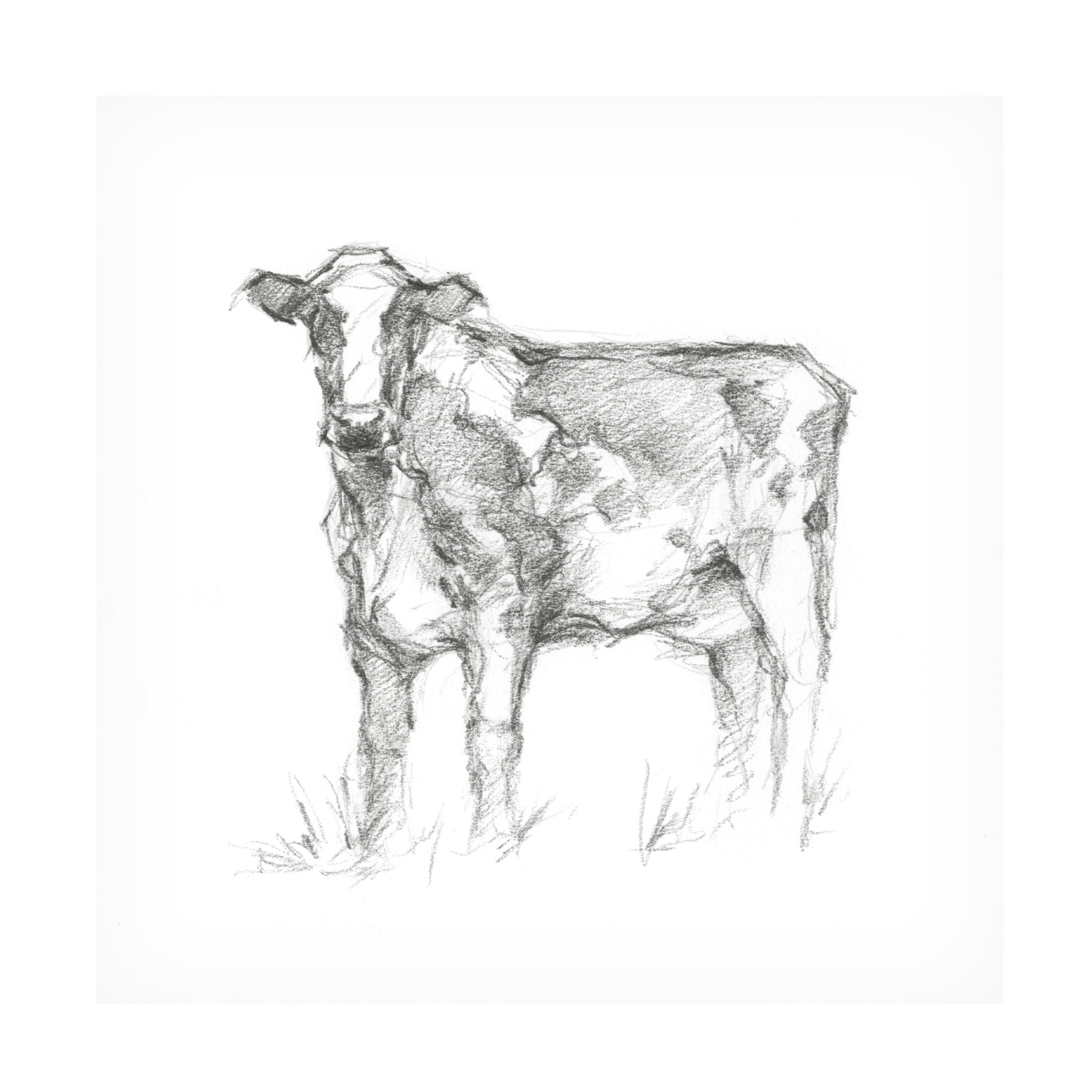 Canvas Wall Art - Ethan Harper 'Bovine Study II' Wall Art for Living Room, Bedroom, or Office Décor by Trademark Fine Art - 35 x 35 Inches