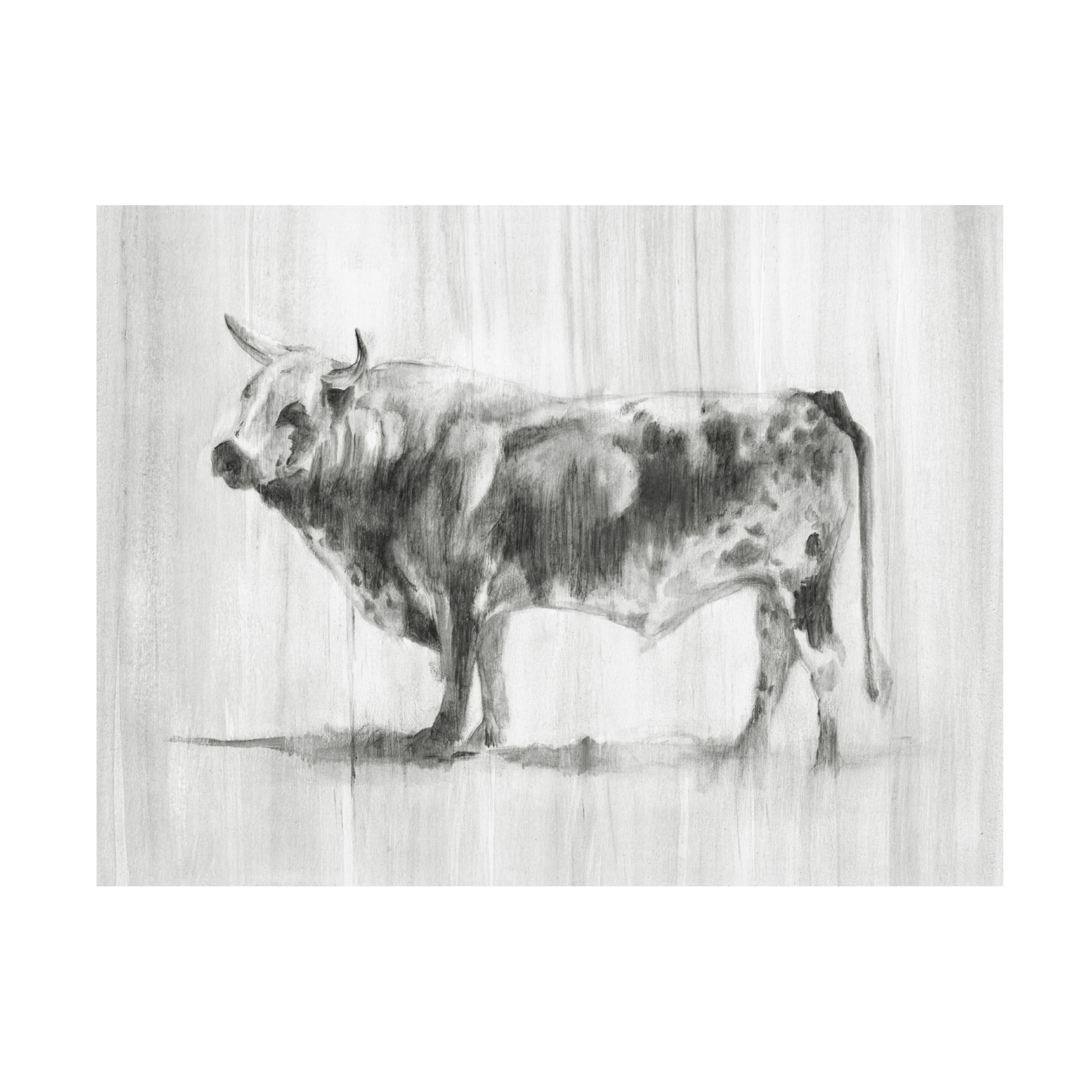 Canvas Wall Art - Ethan Harper 'Rustic Bovine II' Wall Art for Living Room, Bedroom, or Office Décor by Trademark Fine Art - 19 x 14 Inches