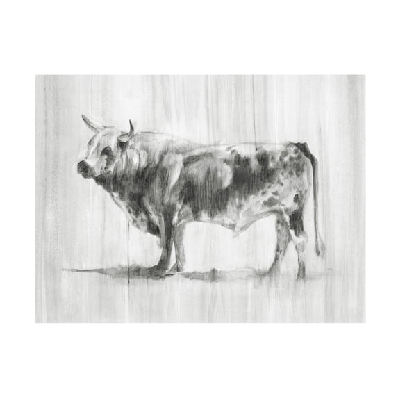 Canvas Wall Art - Ethan Harper 'Rustic Bovine II' Wall Art for Living Room, Bedroom, or Office Décor by Trademark Fine Art - 24 x 18 Inches