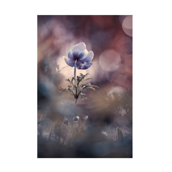 Canvas Wall Art - Fabien Bravin 'A Brighter Future' Wall Art for Living Room, Bedroom, or Office Décor by Trademark Fine Art - 16 x 24 Inches
