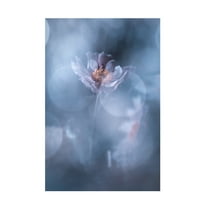 Canvas Wall Art - Fabien Bravin 'Deep Immersion' Wall Art for Living Room, Bedroom, or Office Décor by Trademark Fine Art - 12 x 19 Inches