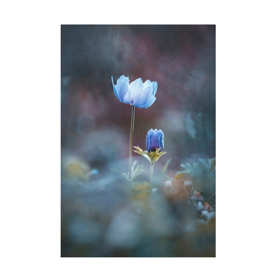 Canvas Wall Art - Fabien Bravin 'Growing Up' Wall Art for Living Room, Bedroom, or Office Décor by Trademark Fine Art - 12 x 19 Inches