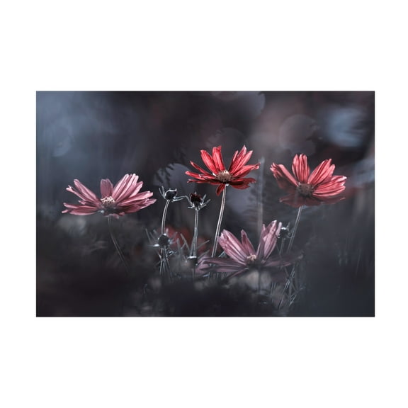 Canvas Wall Art - Fabien Bravin 'Les Fleurs Du Bien' Wall Art for Living Room, Bedroom, or Office Décor by Trademark Fine Art - 19 x 12 Inches