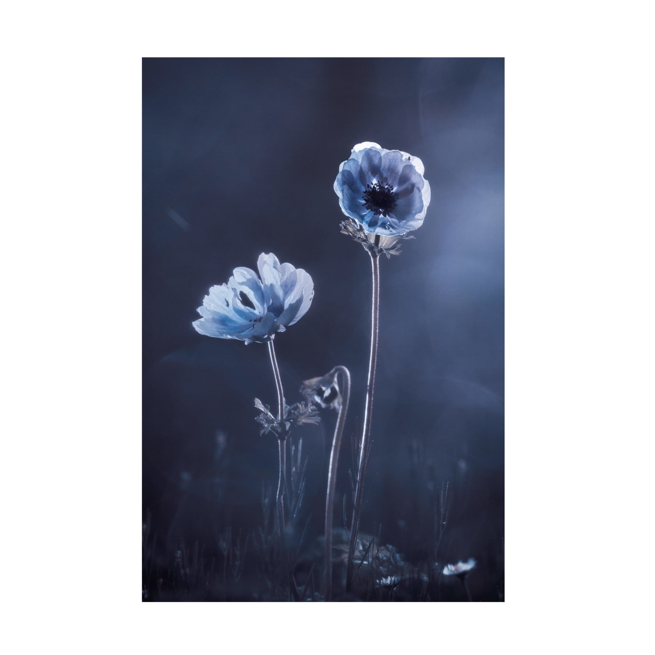 Canvas Wall Art - Fabien Bravin 'Meanwhile, Oustide Walls' Wall Art for Living Room, Bedroom, or Office Décor by Trademark Fine Art - 22 x 32 Inches