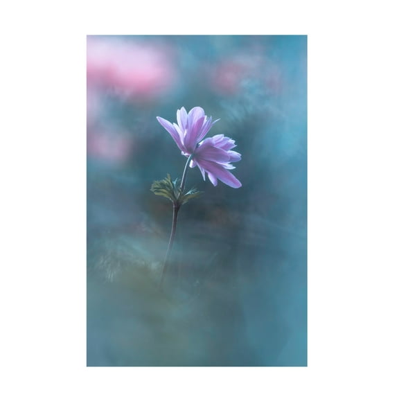 Canvas Wall Art - Fabien Bravin 'Never Ending Days' Wall Art for Living Room, Bedroom, or Office Décor by Trademark Fine Art - 12 x 19 Inches