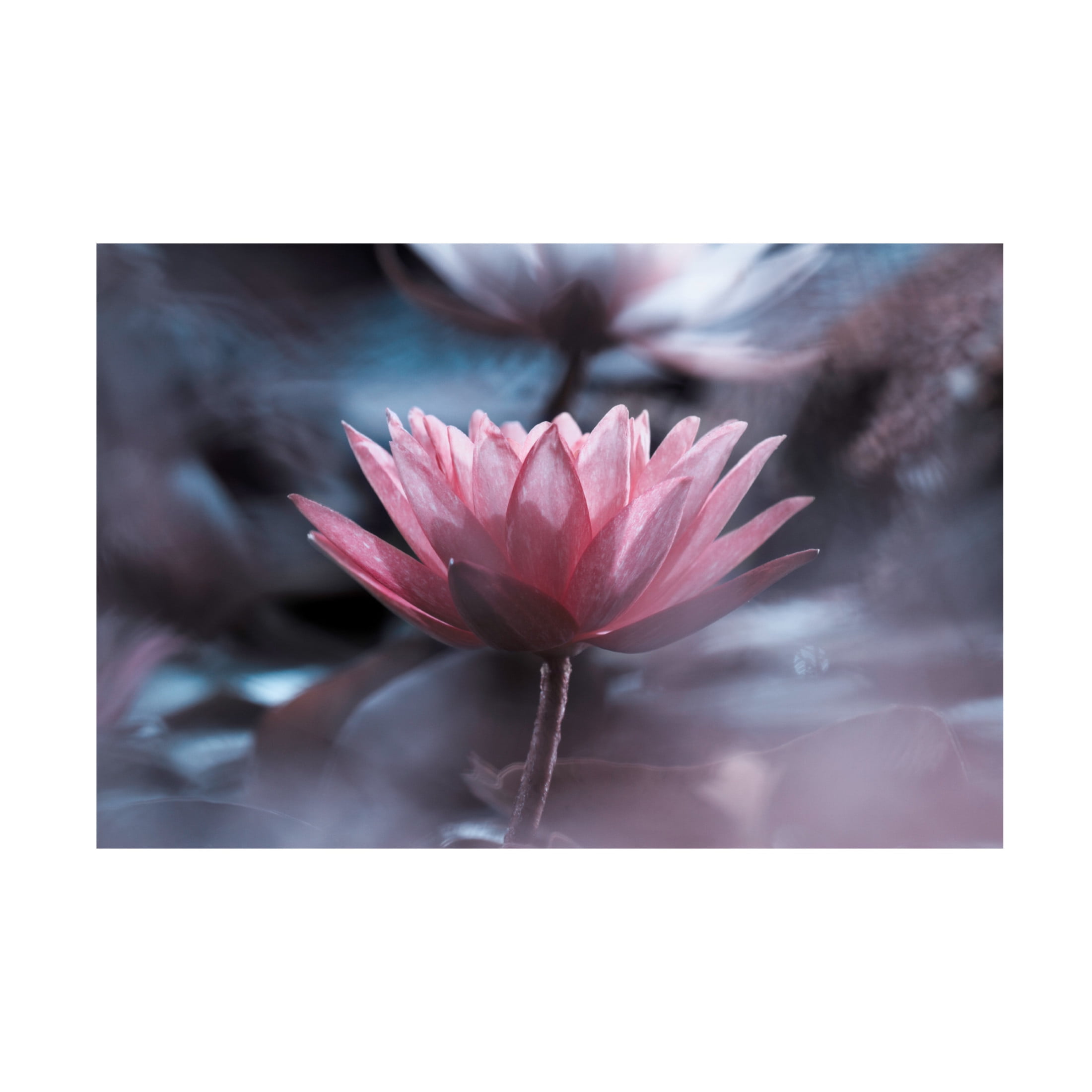 Canvas Wall Art - Fabien Bravin 'Silence' Wall Art for Living Room, Bedroom, or Office Décor by Trademark Fine Art - 19 x 12 Inches