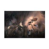 Canvas Wall Art - Fabien Bravin 'Spring Gift' Wall Art for Living Room, Bedroom, or Office Décor by Trademark Fine Art - 19 x 12 Inches