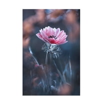 Canvas Wall Art - Fabien Bravin 'Standing In Beauty' Wall Art for Living Room, Bedroom, or Office Décor by Trademark Fine Art - 12 x 19 Inches