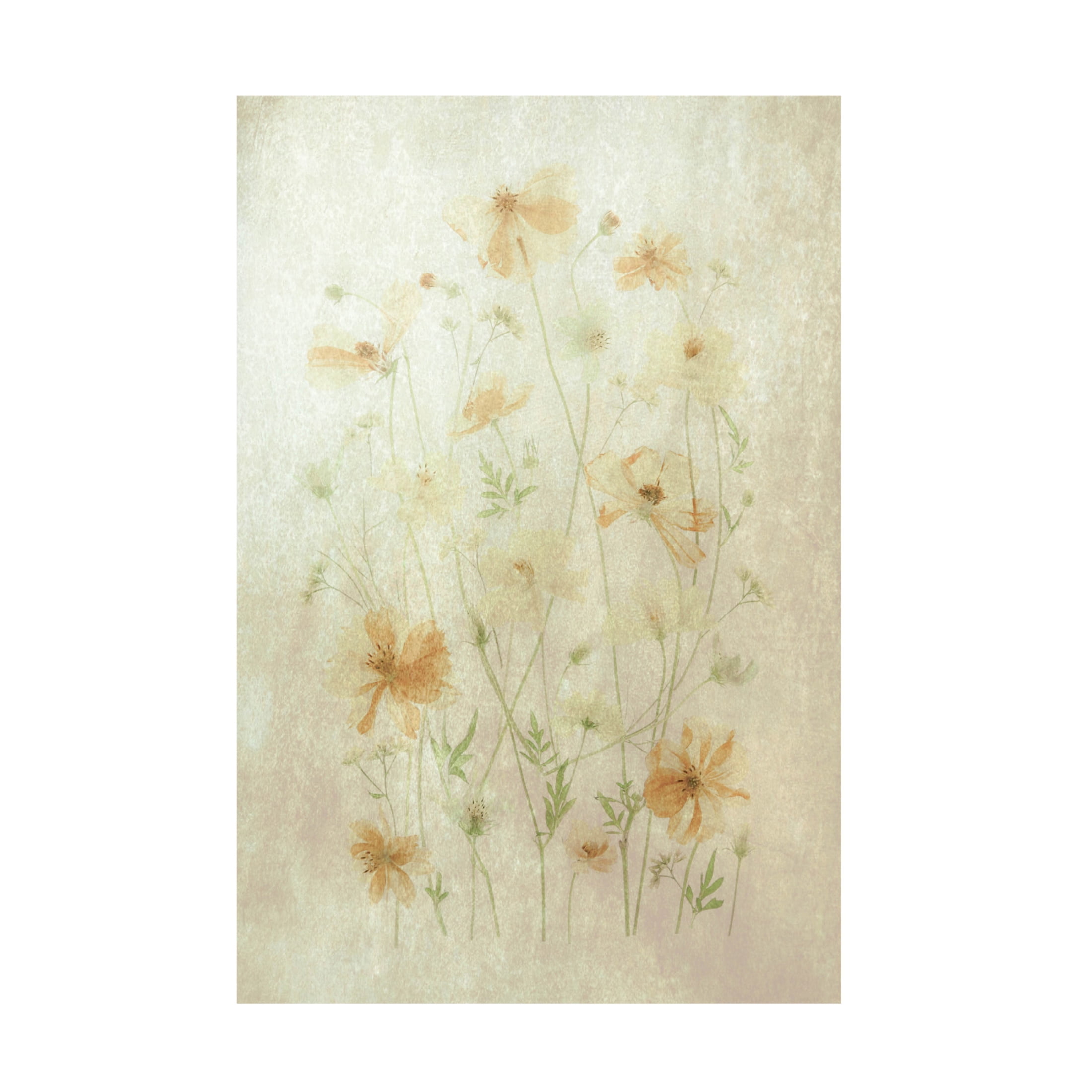 Canvas Wall Art - Fangping Zhou 'Yellow Cosmos' Wall Art for Living Room, Bedroom, or Office Décor by Trademark Fine Art - 12 x 19 Inches