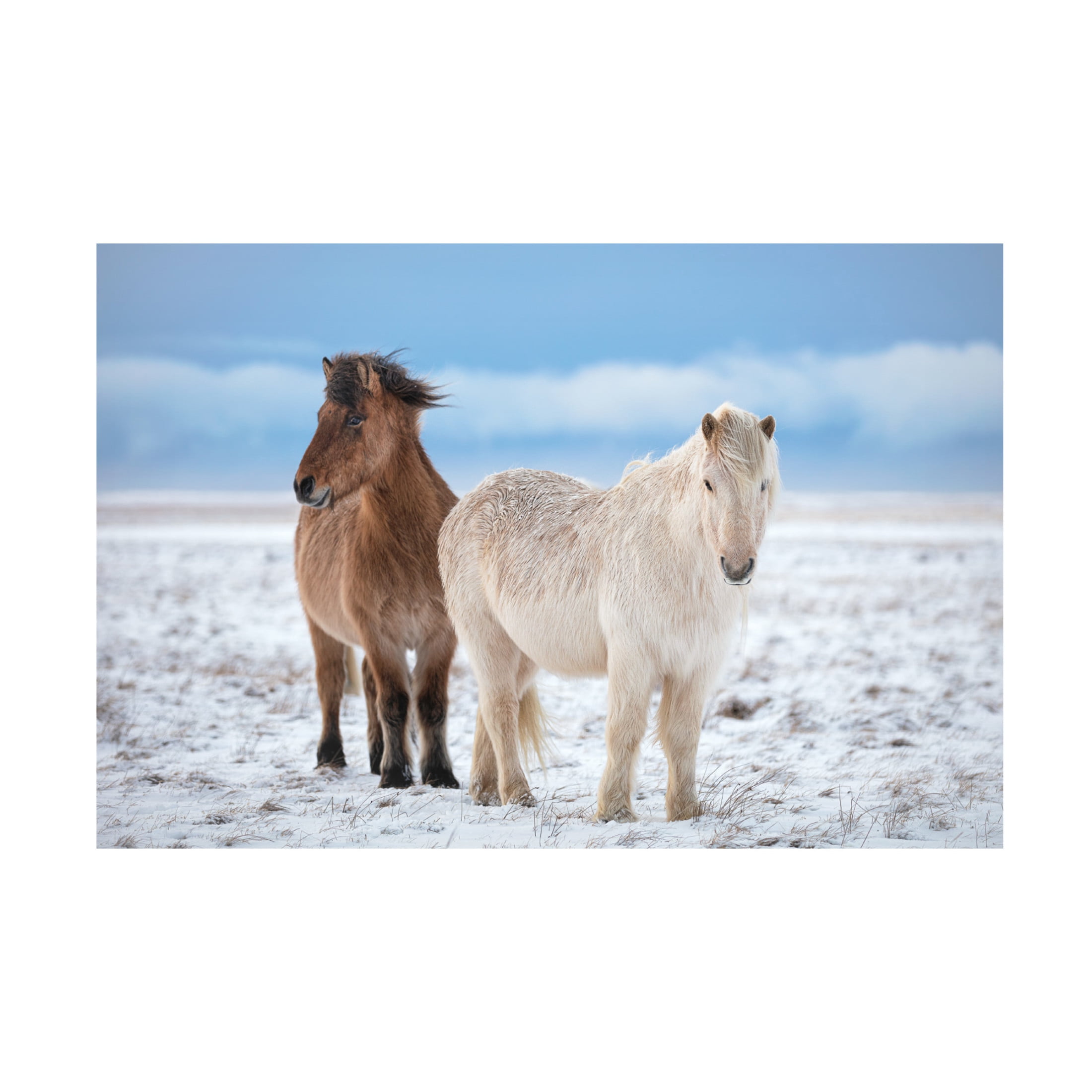 Canvas Wall Art - Fegari  'B R O T H E R S' Wall Art for Living Room, Bedroom, or Office Décor by Trademark Fine Art - 47 x 30 Inches