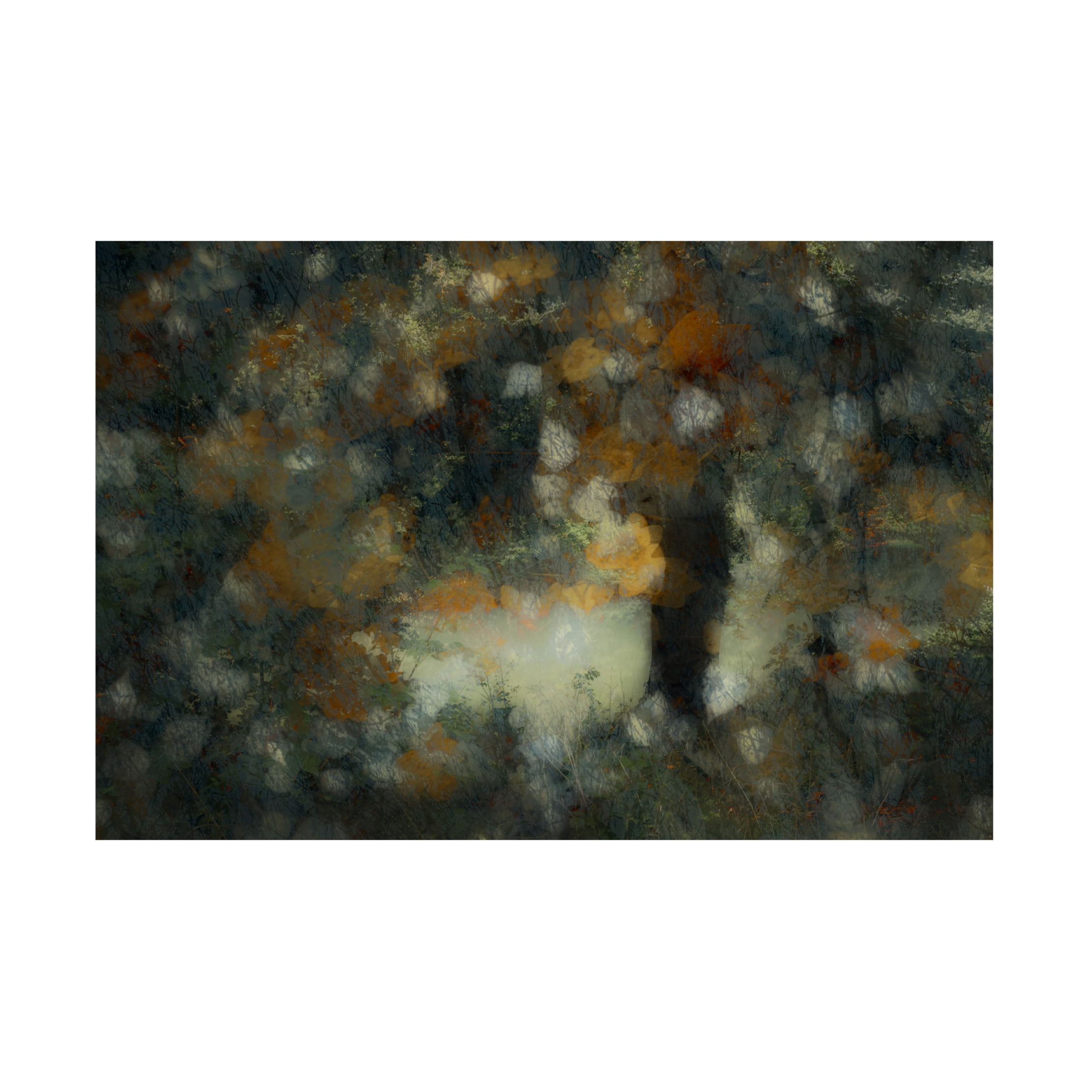 Canvas Wall Art - Fuyuki Hattori 'Look Through' Wall Art for Living Room, Bedroom, or Office Décor by Trademark Fine Art - 47 x 30 Inches