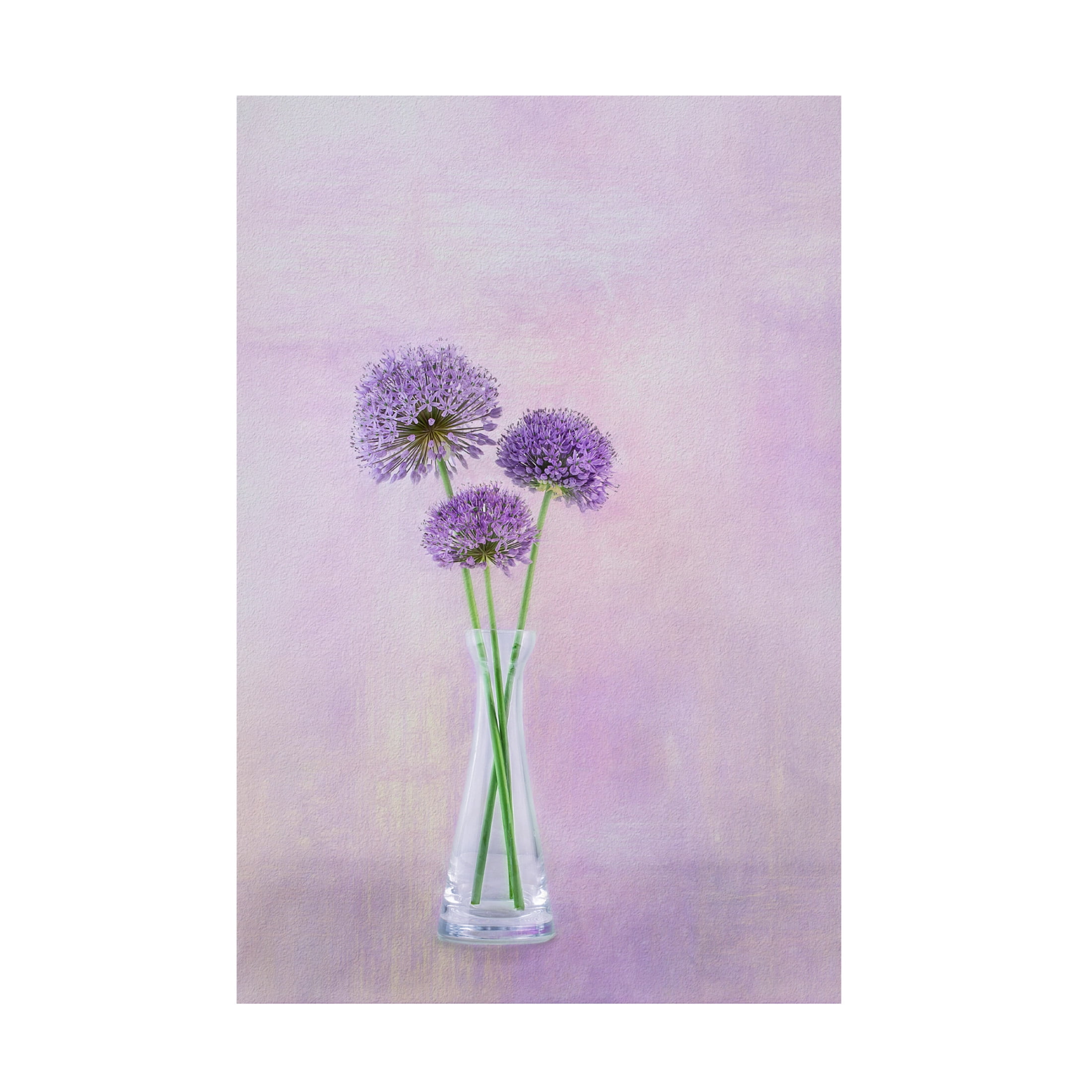 Canvas Wall Art - Gaille Gray '3 Allium' Wall Art for Living Room, Bedroom, or Office Décor by Trademark Fine Art - 22 x 32 Inches