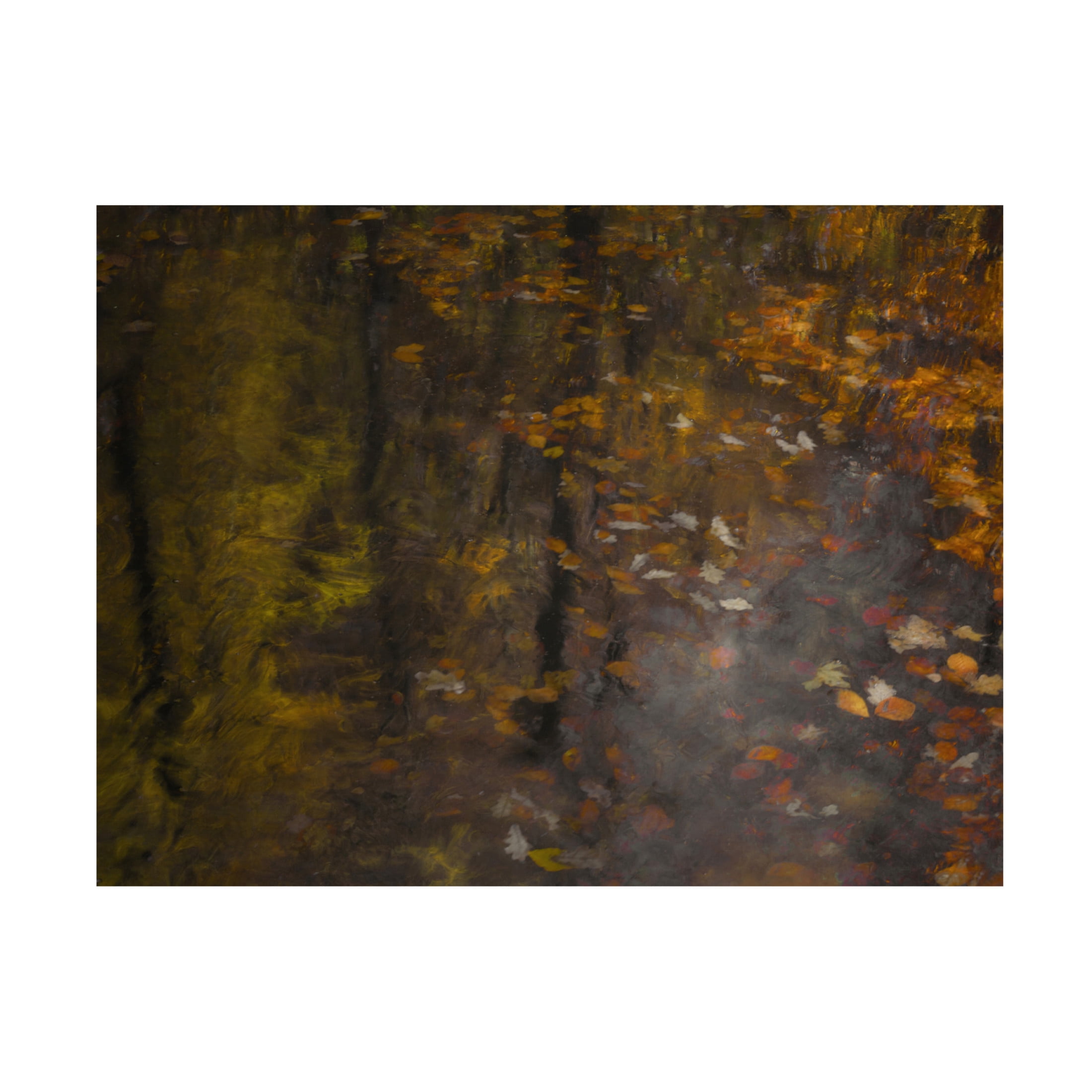 Canvas Wall Art - Gaille Gray 'Autumn Impression' Wall Art for Living Room, Bedroom, or Office Décor by Trademark Fine Art - 24 x 18 Inches